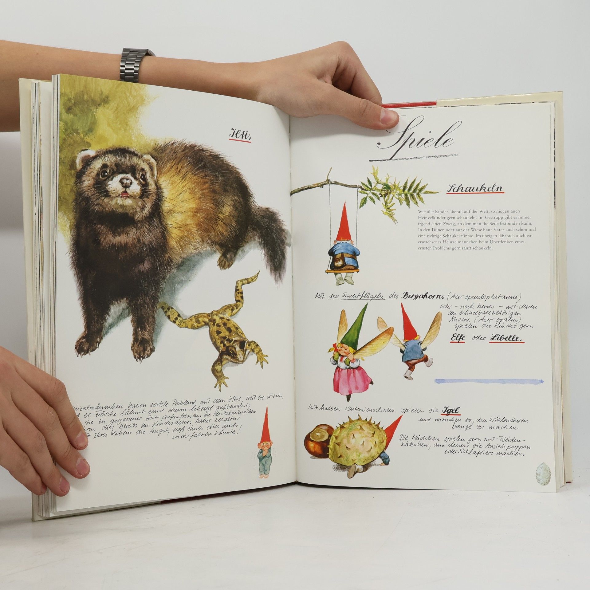 Wil Huygen Das grosse Buch der Heinzelmännchen