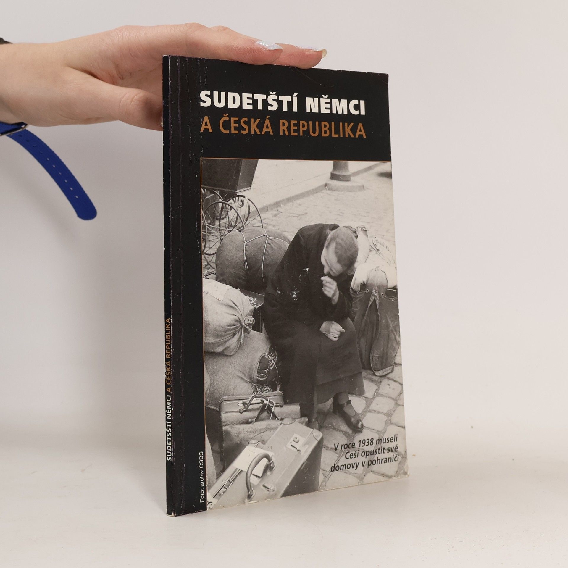 Sudetští Němci a Česká republika