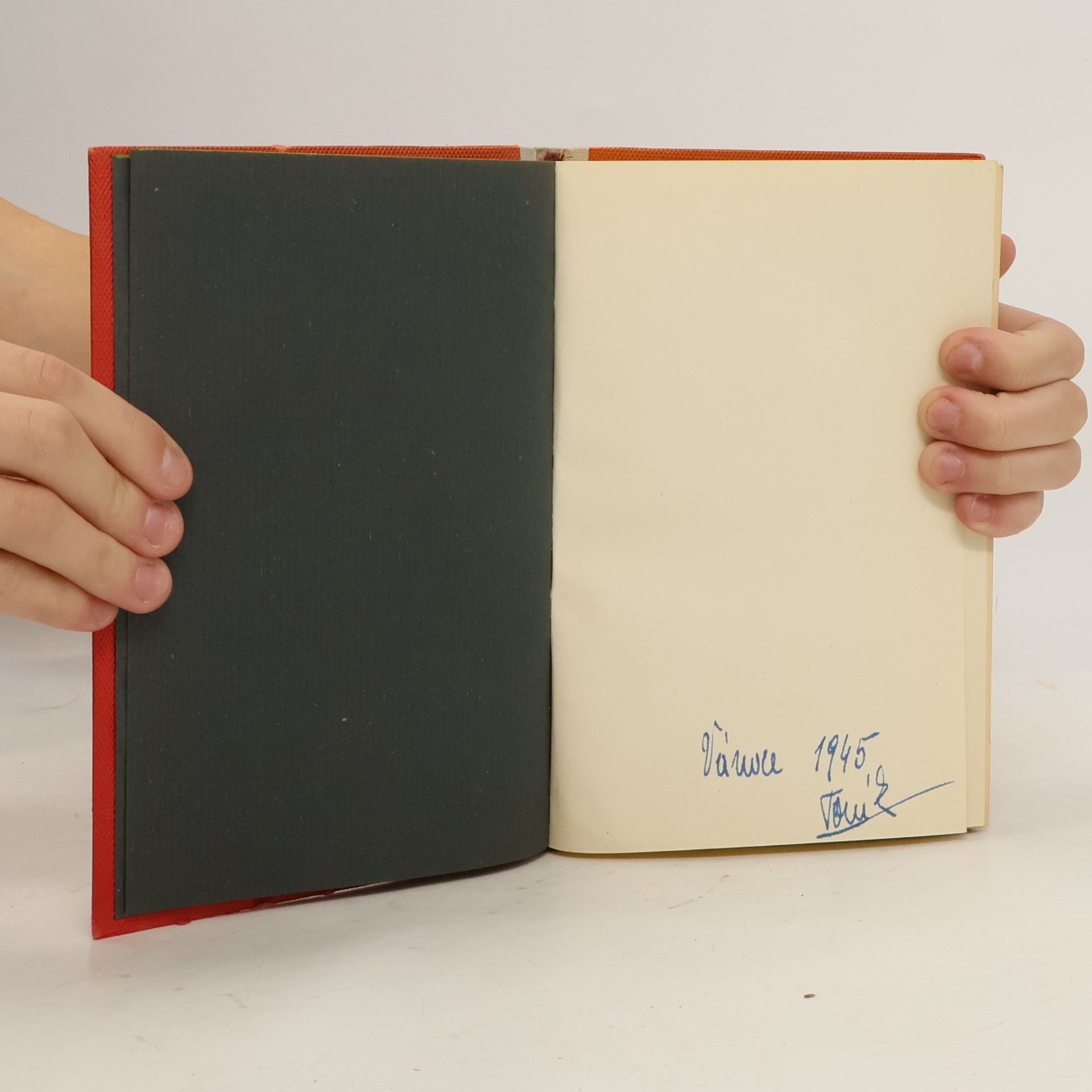 Klabund Borgia. Román rodiny