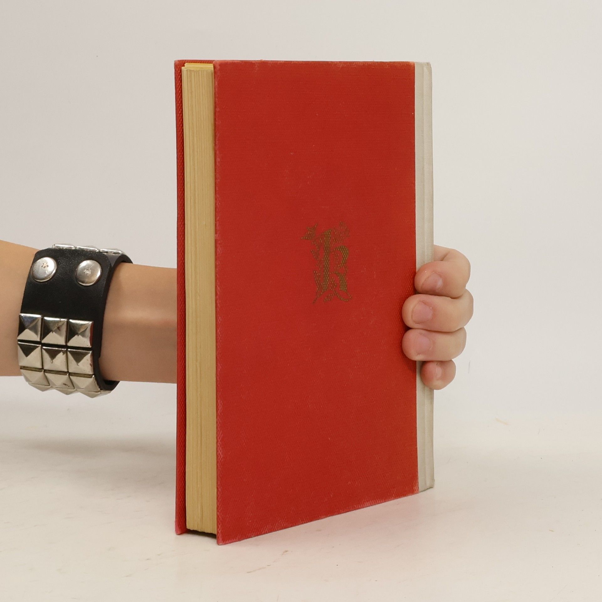 Klabund Borgia. Román rodiny