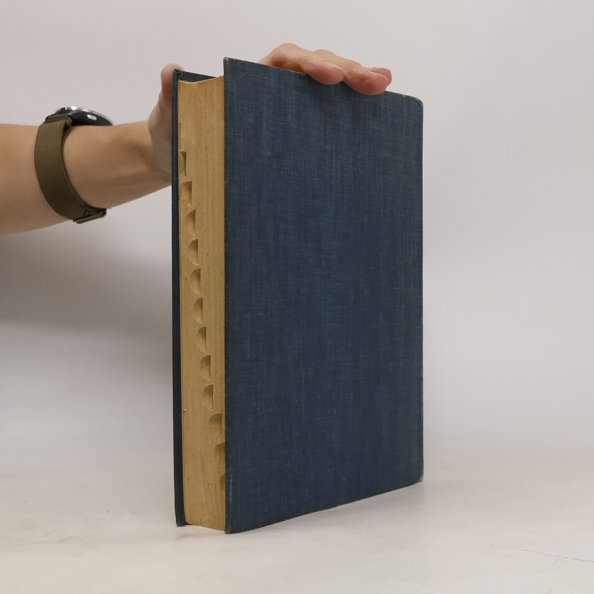 Autorenkollektiv Webster's New Collegiate Dictionary