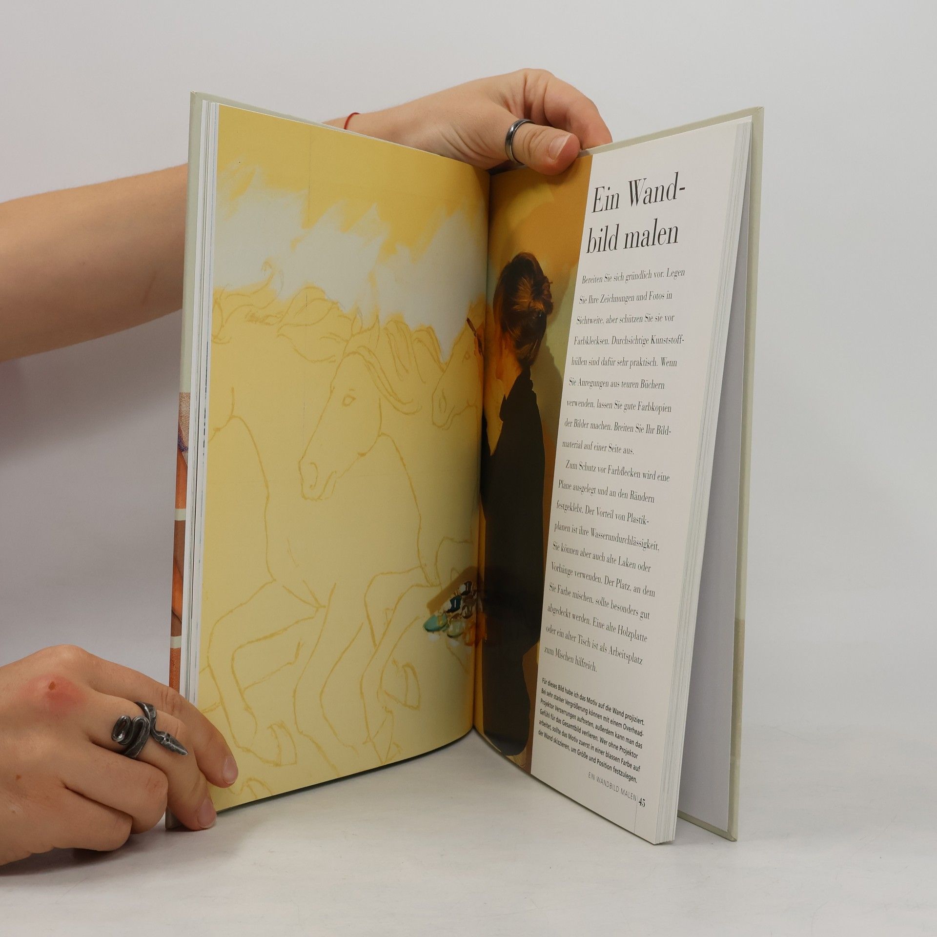 Janet Shearer Illusionsmalerei