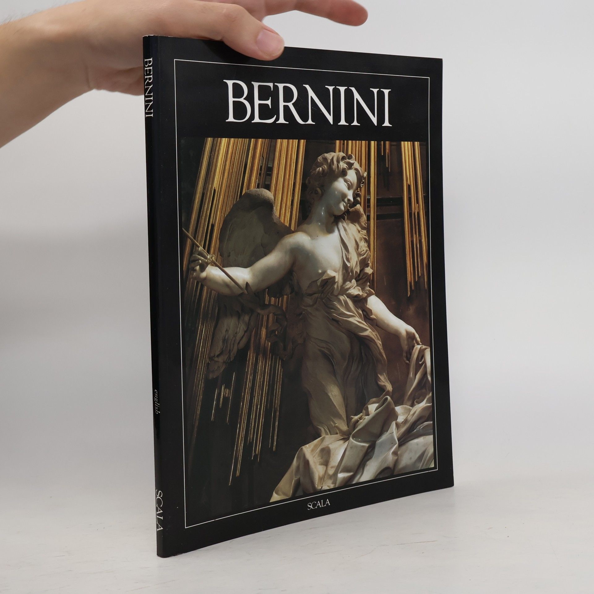 Maurizio Fagiolo DellArco Bernini