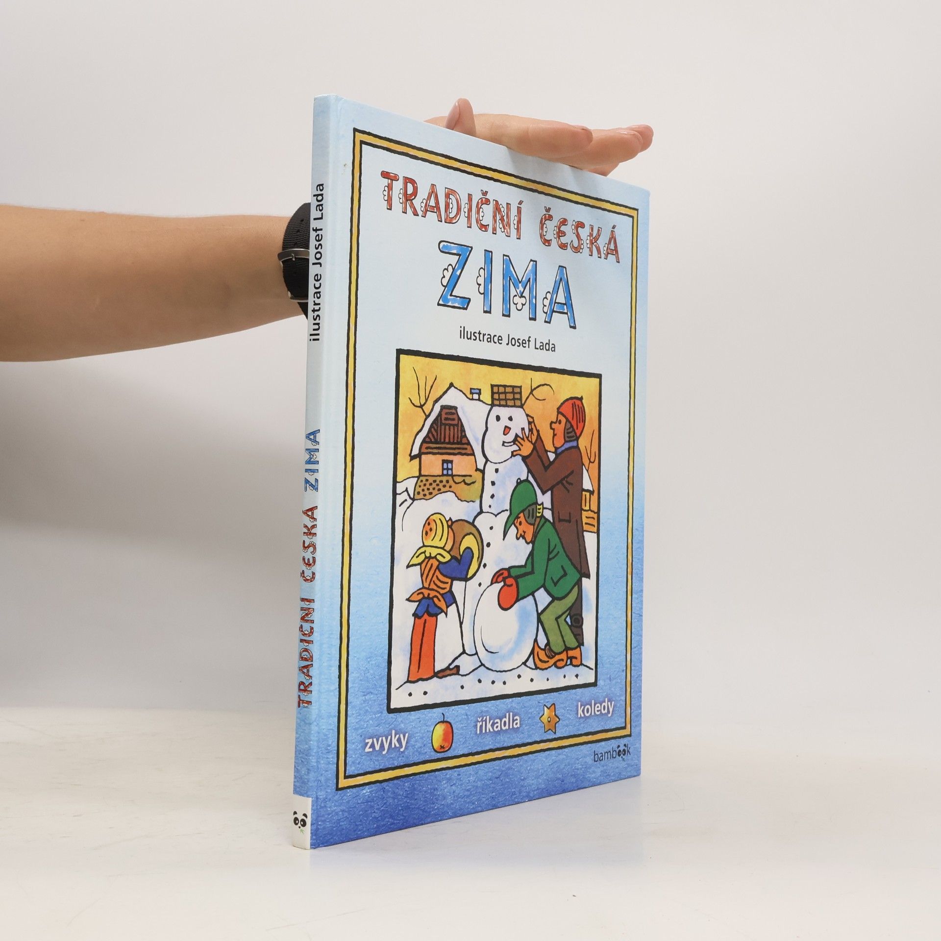 Tradiční česká zima