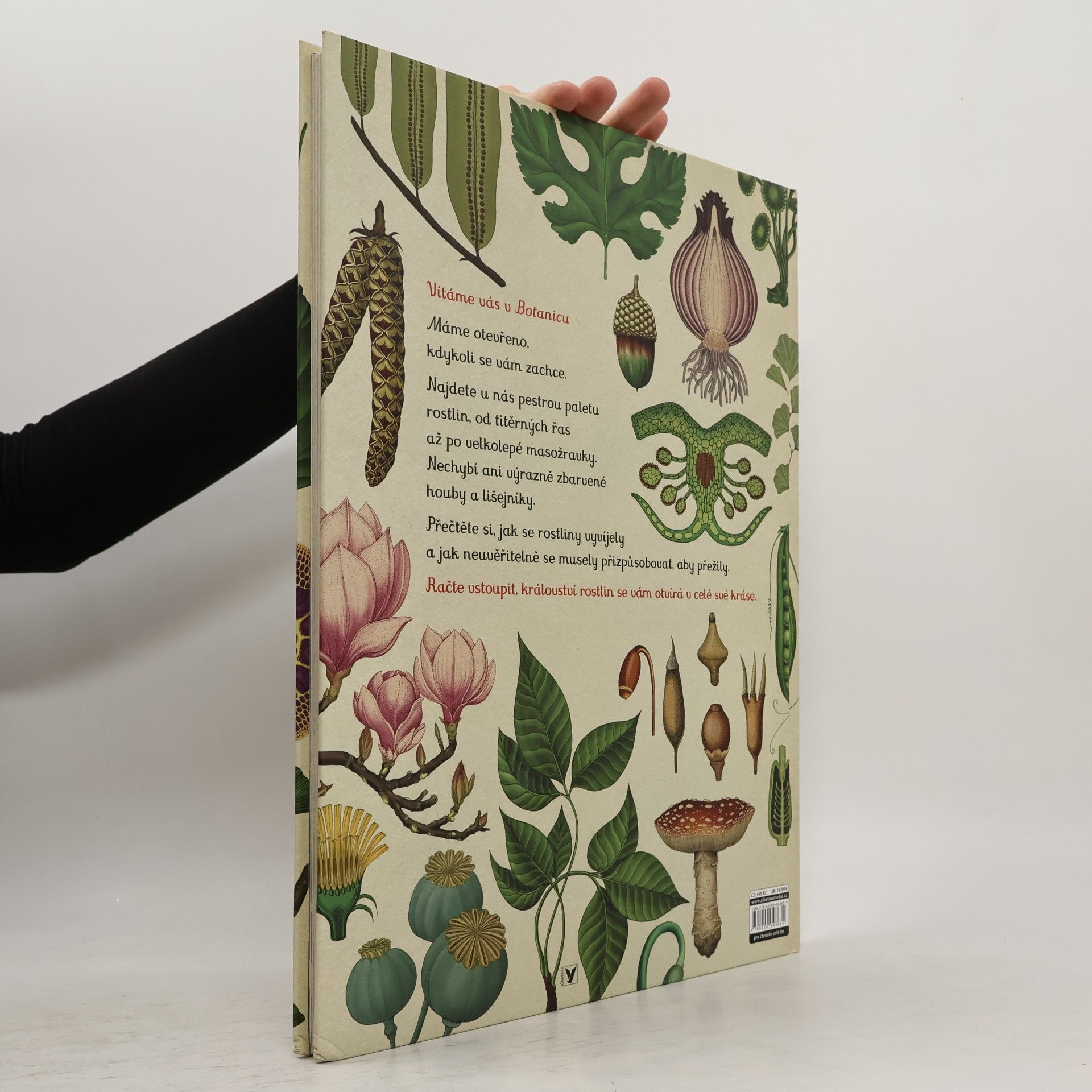 Katie Scott Botanicum