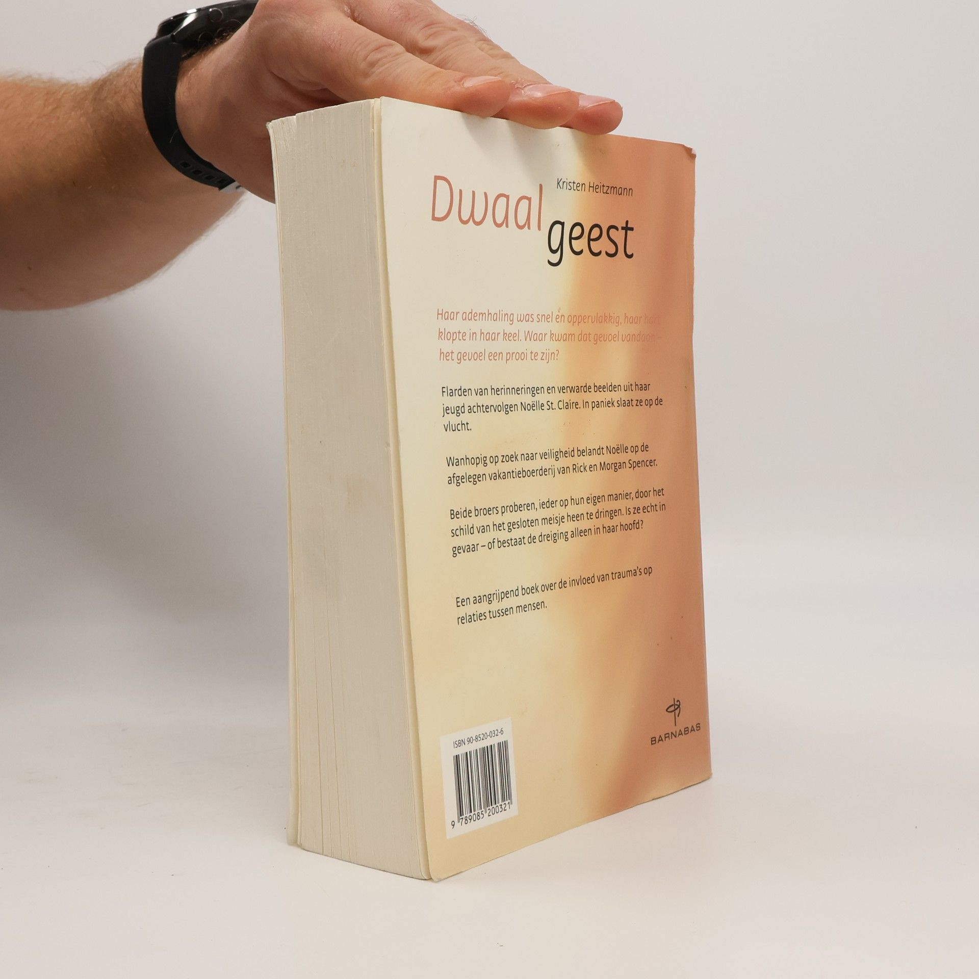 Willem Keesmaat Dwaalgeest