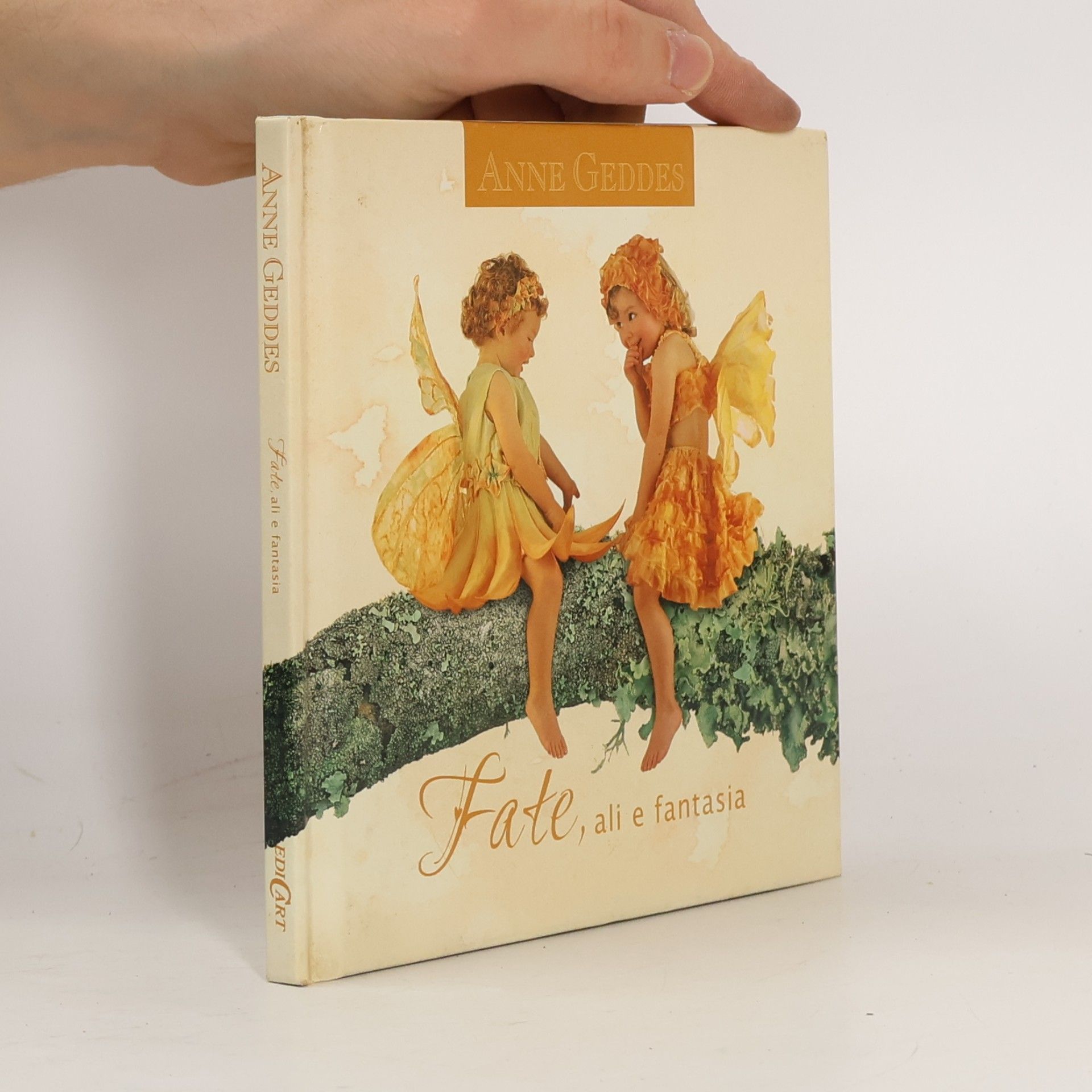 Fate, ali e fantasia. Ediz. illustrata