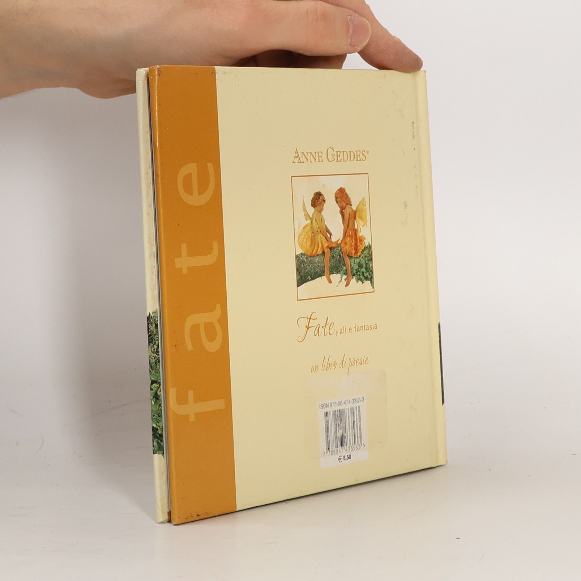 Anne Geddes Fate, ali e fantasia. Ediz. illustrata