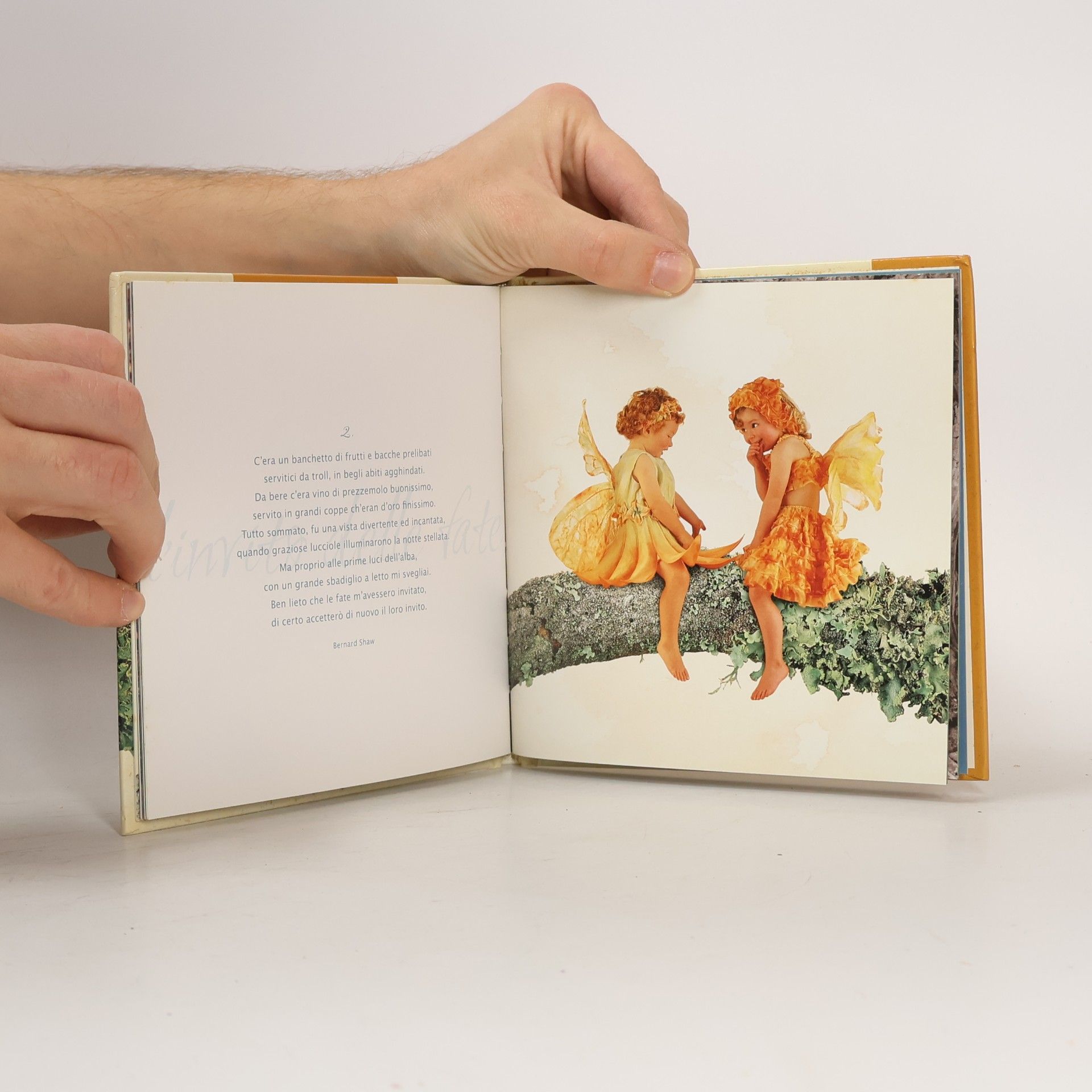 Anne Geddes Fate, ali e fantasia. Ediz. illustrata