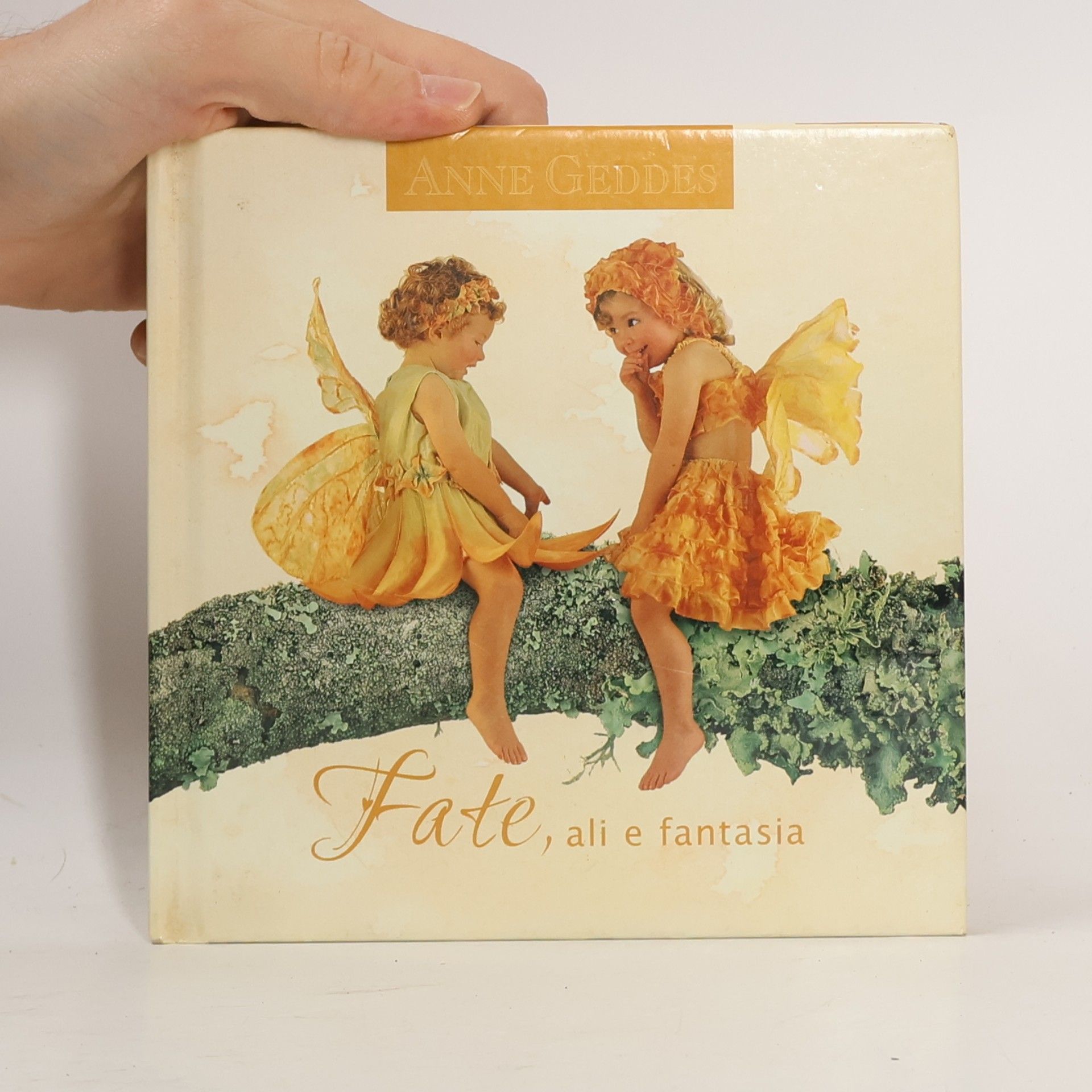 Anne Geddes Fate, ali e fantasia. Ediz. illustrata
