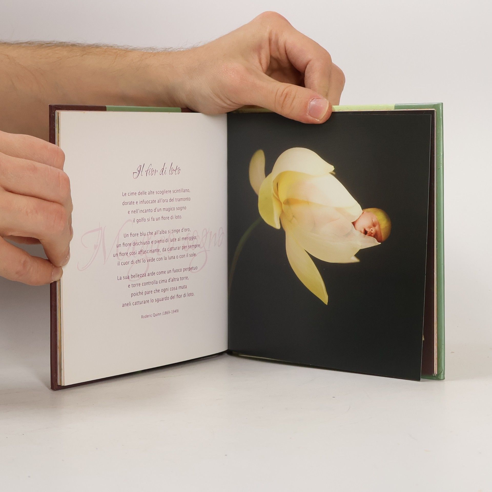 Anne Geddes Fiori, petali e profumi. Ediz. illustrata