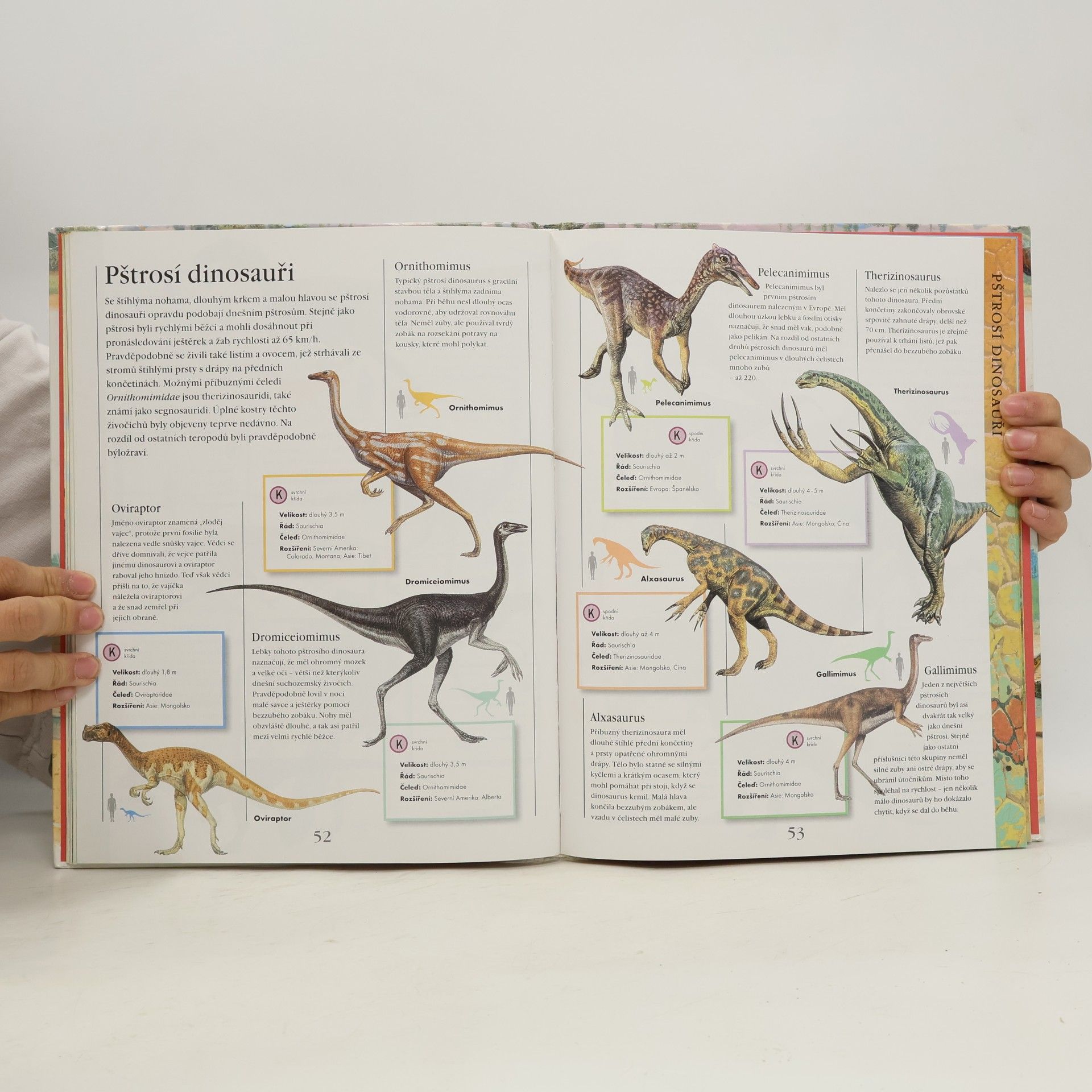 Jinny Johnson Dinosauři