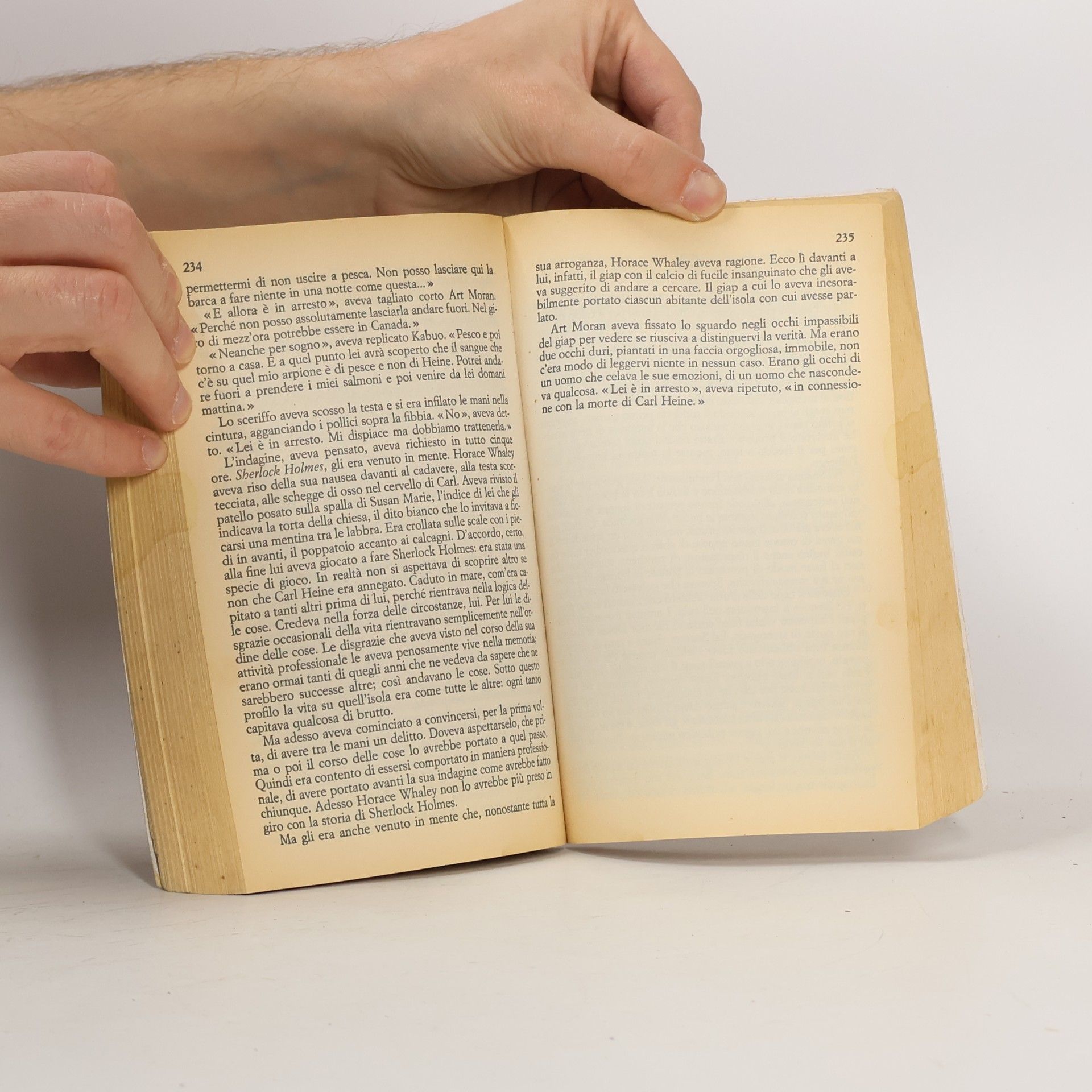 David Guterson SuperPocket - 133: La neve cade sui cedri
