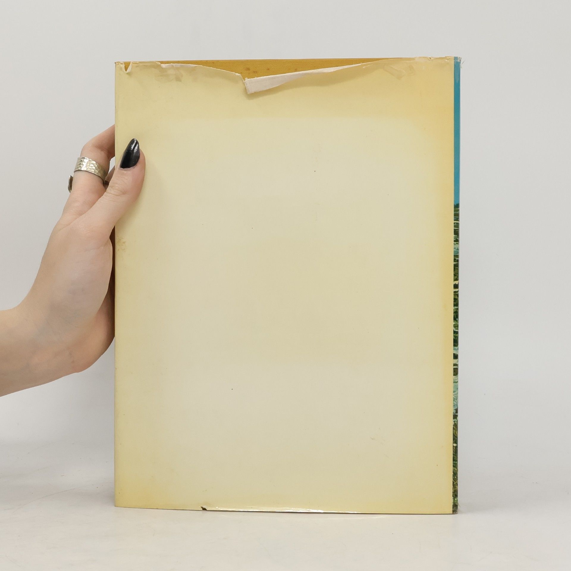 Lotte Frauendienst Das Buch von Niederösterreich