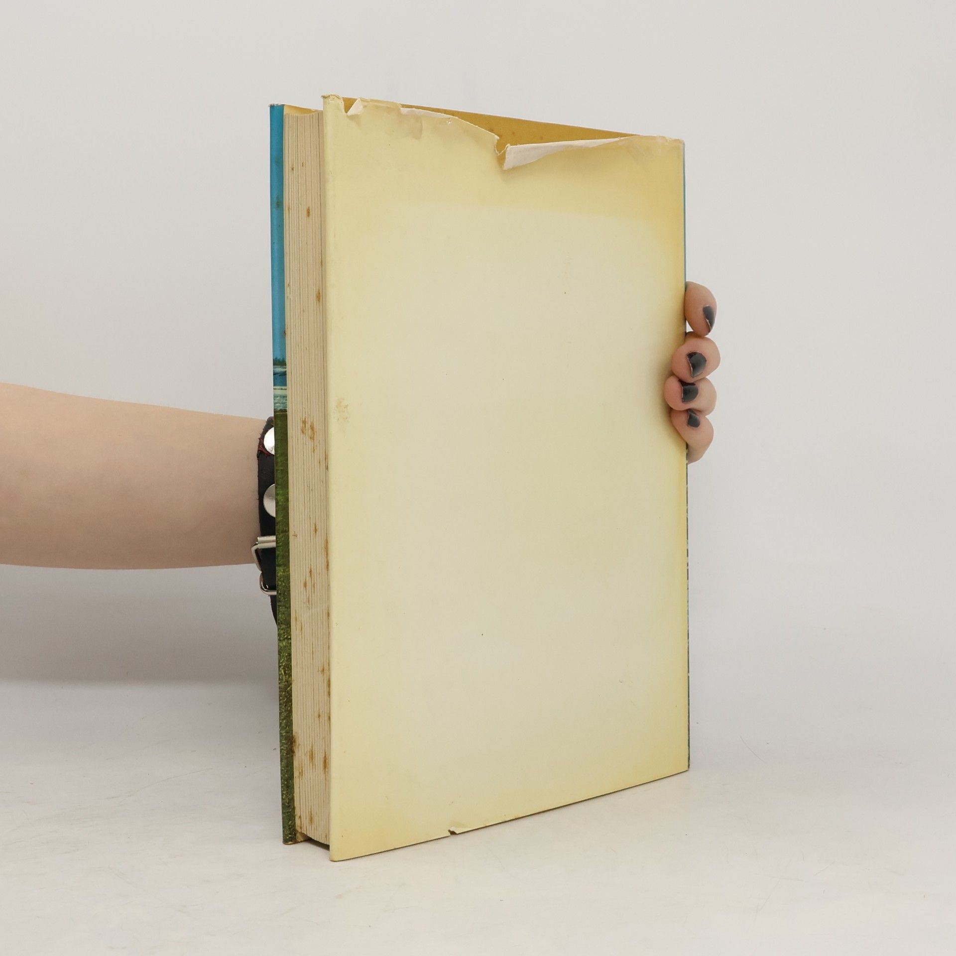 Lotte Frauendienst Das Buch von Niederösterreich