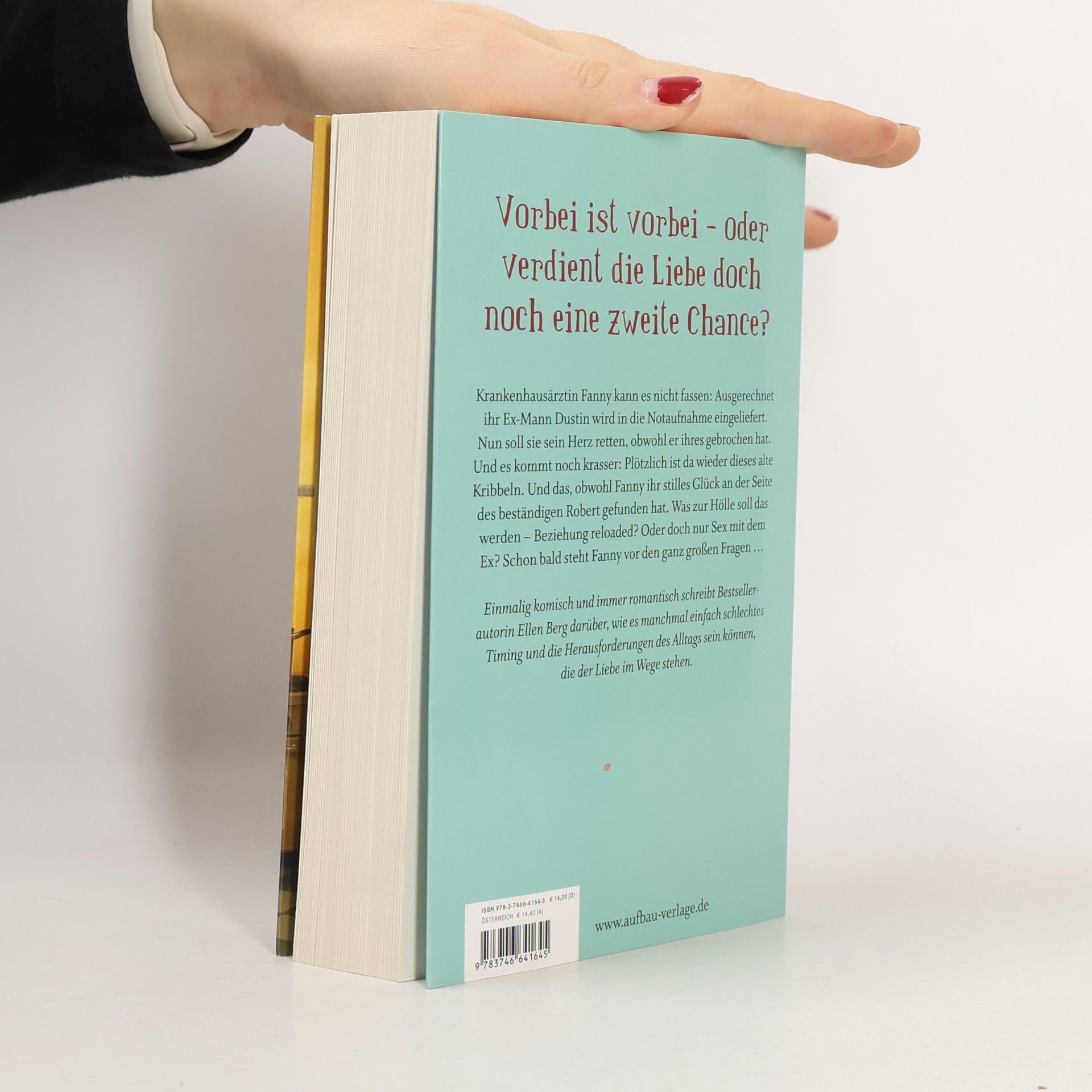 Ellen Berg Du schon wieder: (K)ein Scheidungs-Roman