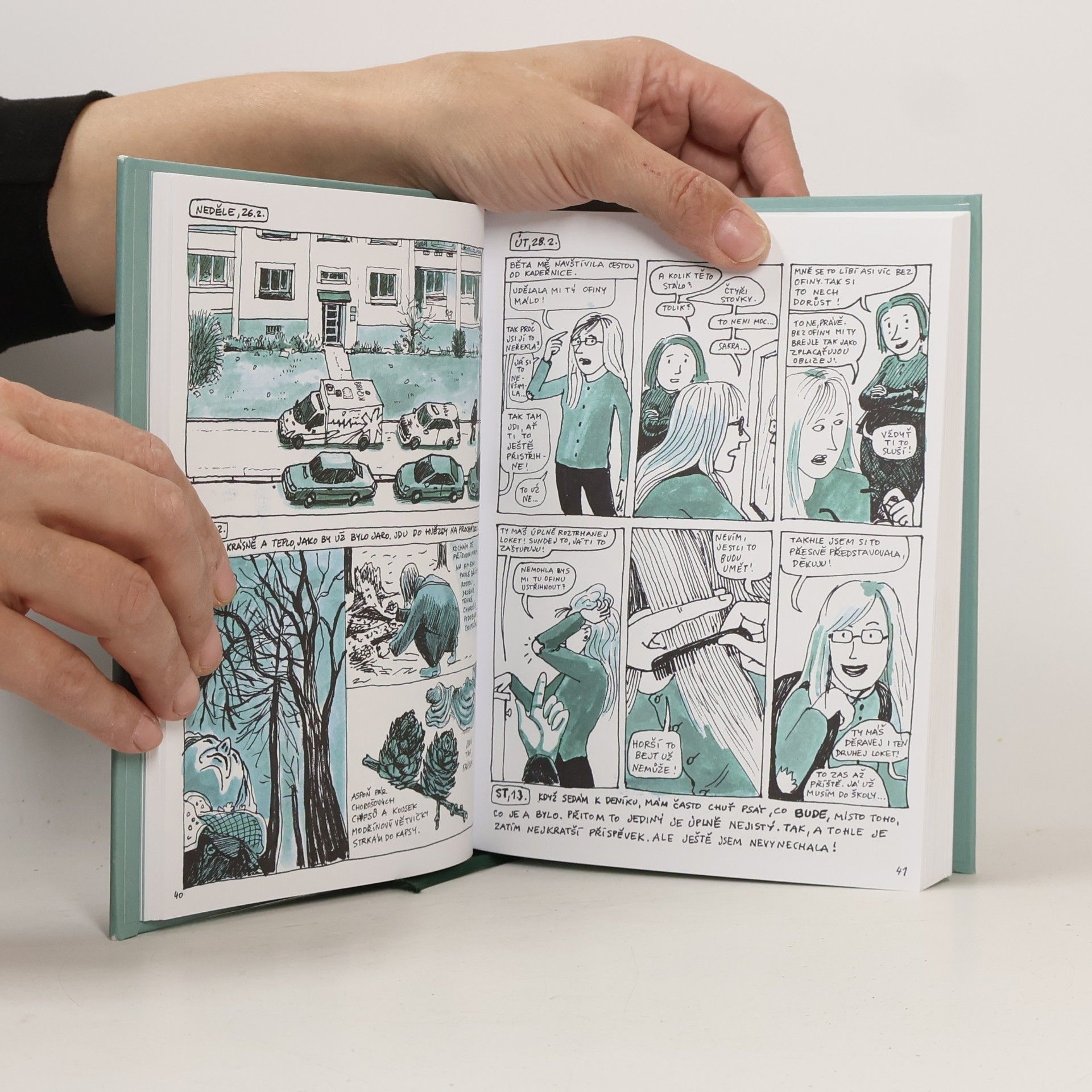Lucie Lomová Každý den je nový : komiksový deník
