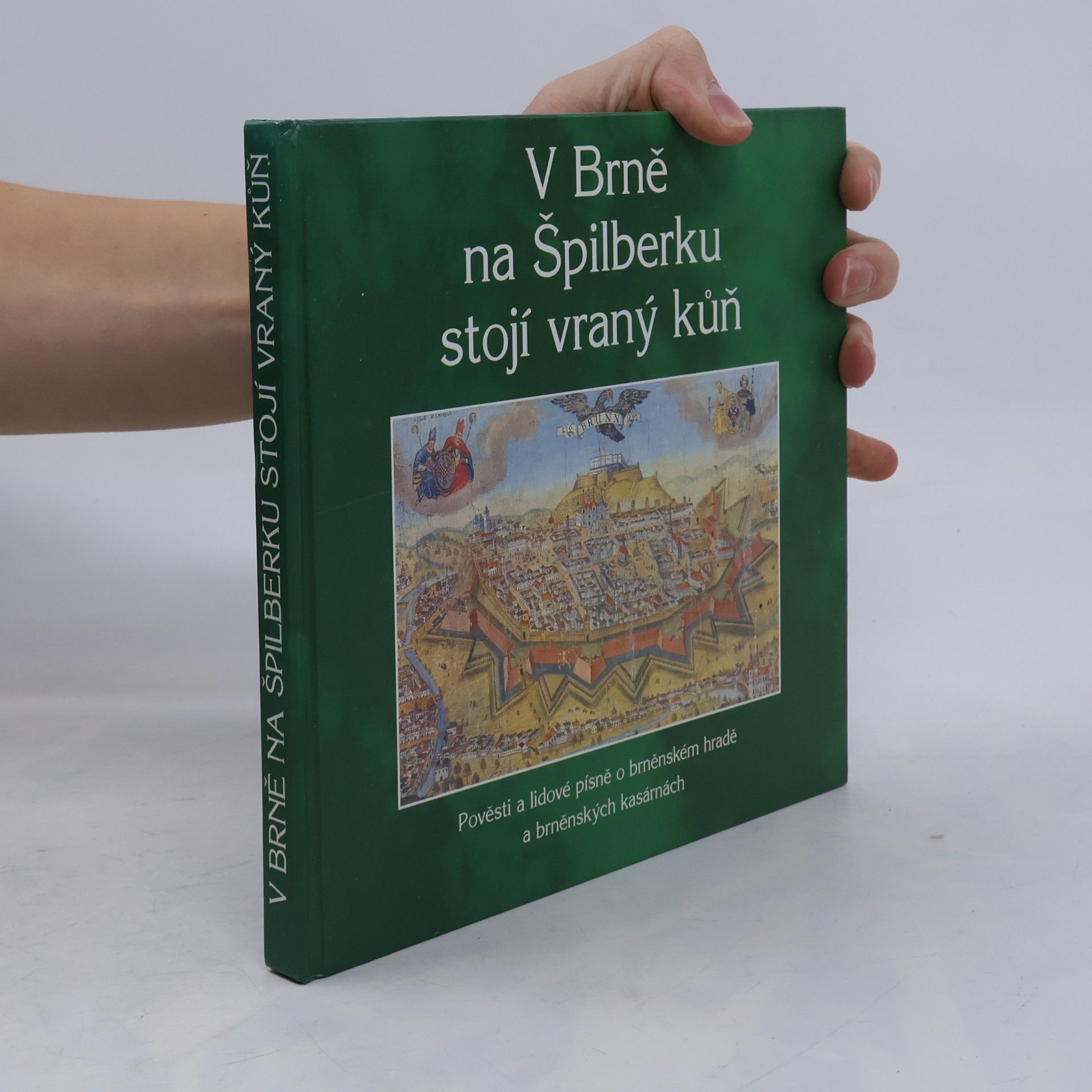 V Brně na Špilberku stojí vraný kůň