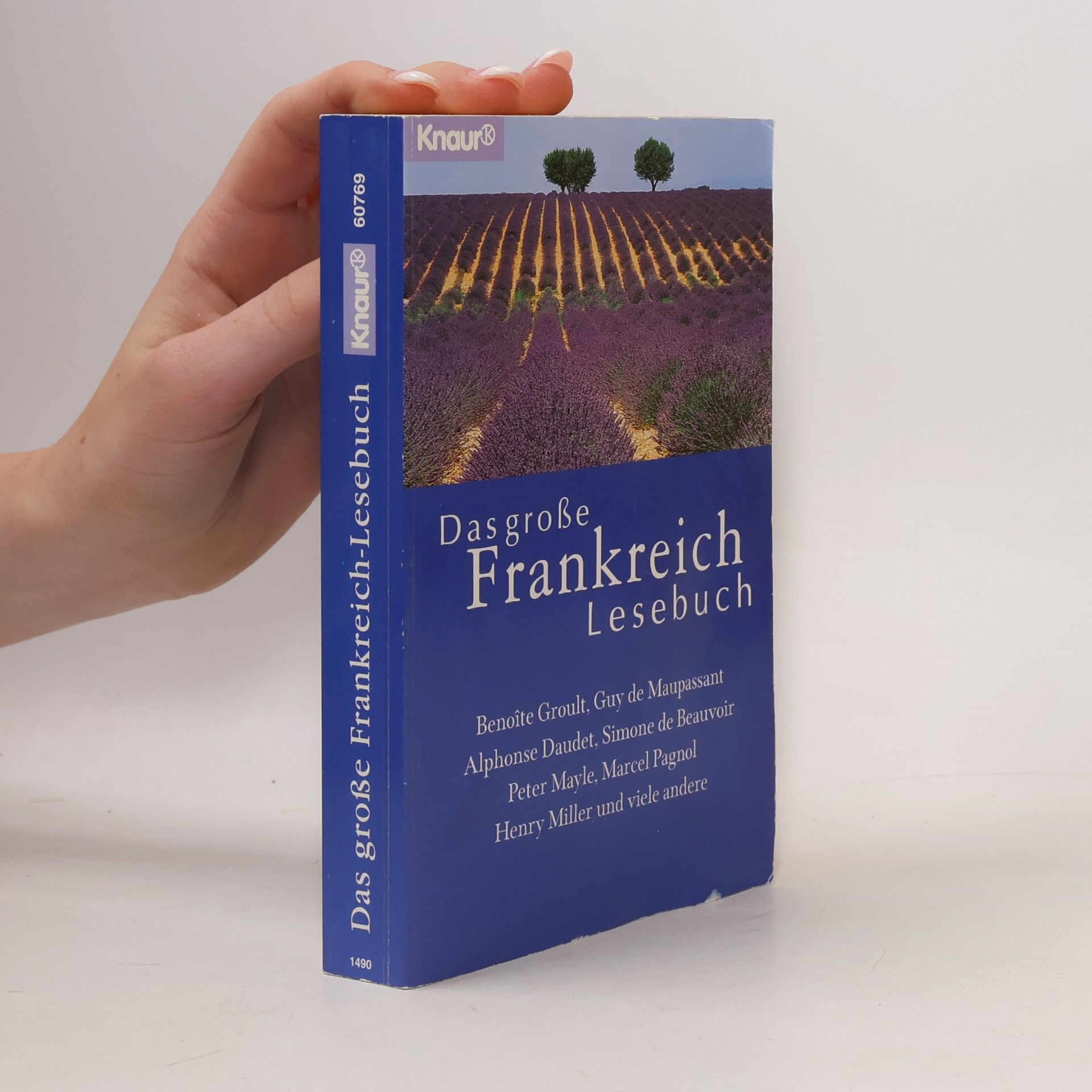 Christine Steffen Reimann Das grosse Frankreich-Lesebuch