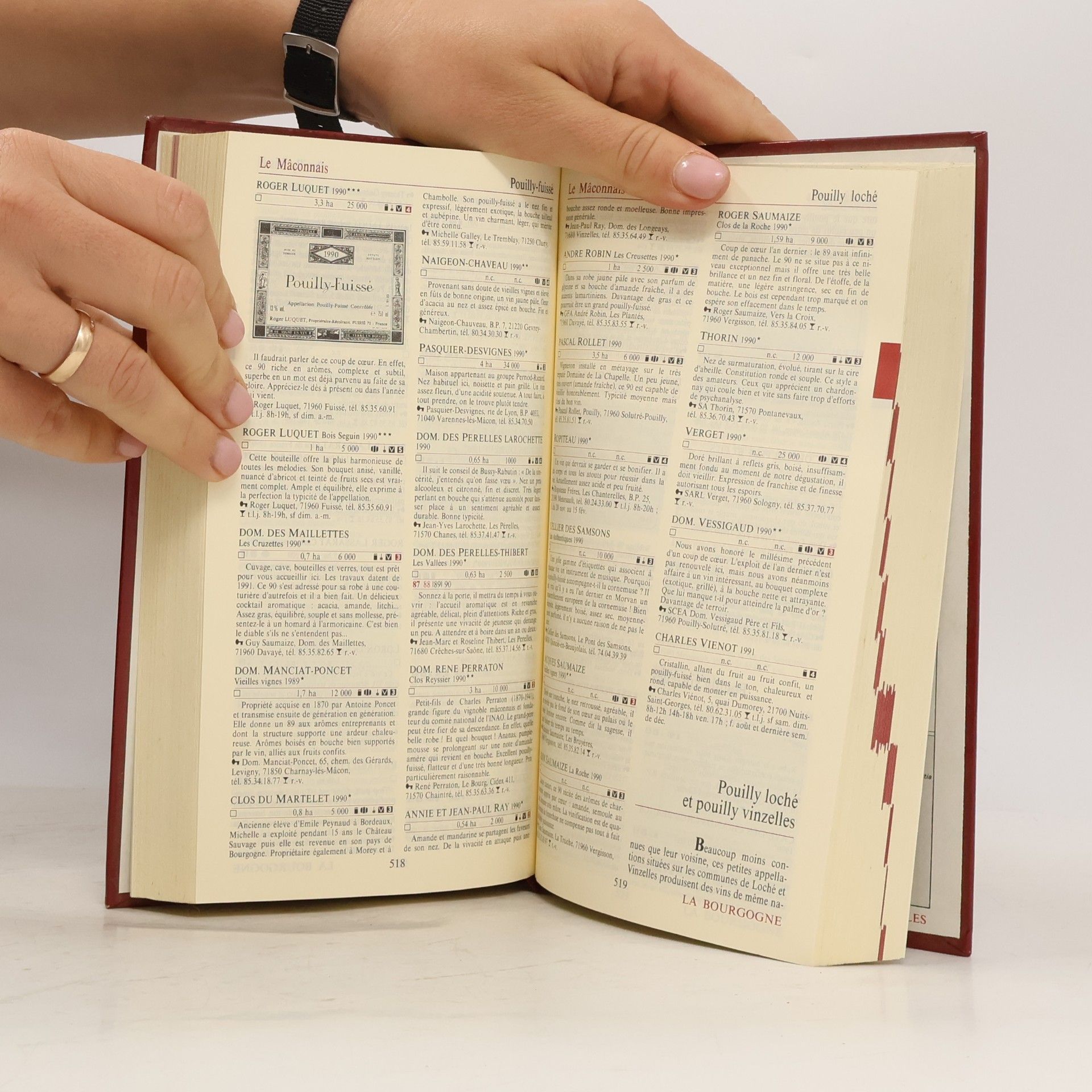 Hachette Le guide Hachette 1993 des vins