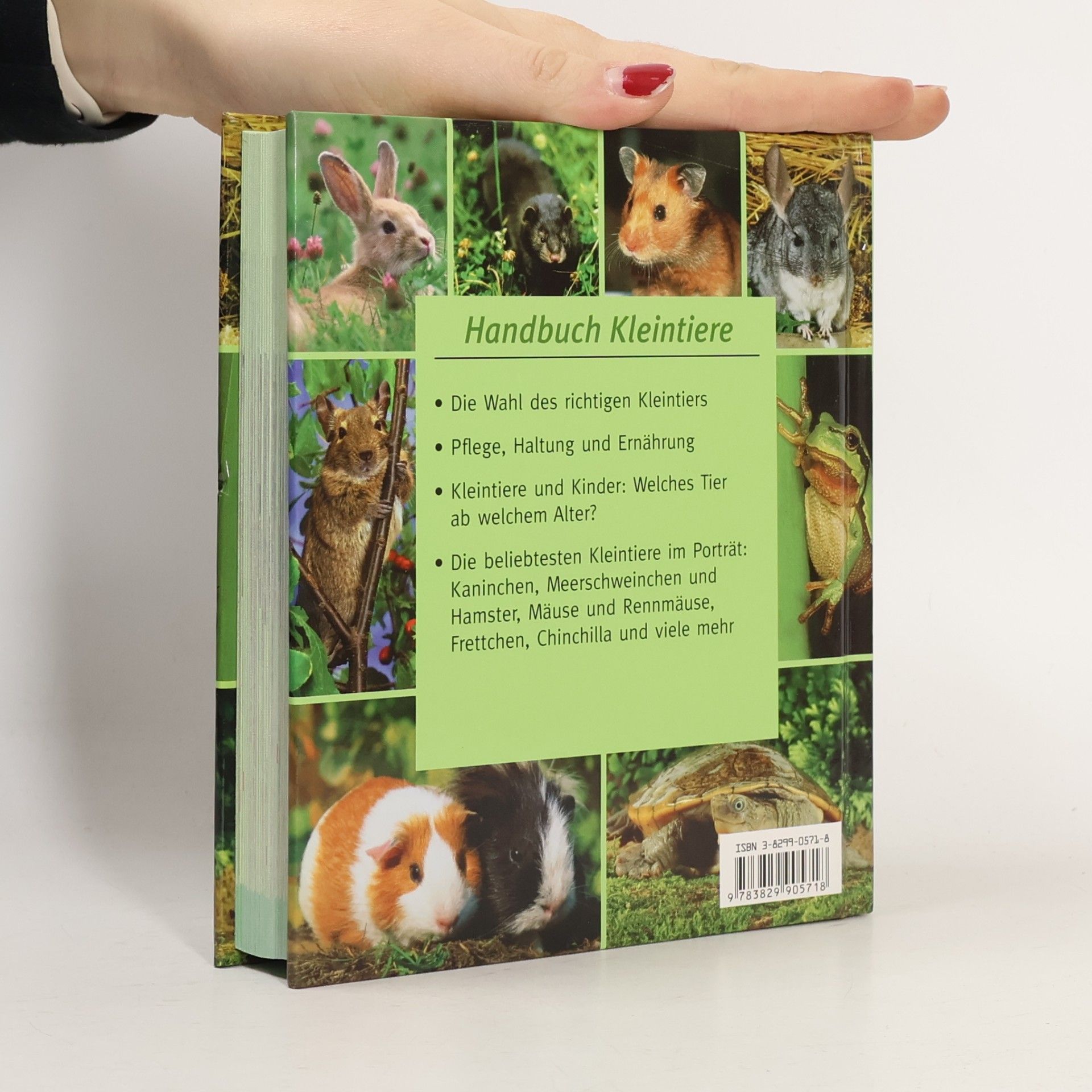 [Anonymus AC05609570] Handbuch Kleintiere