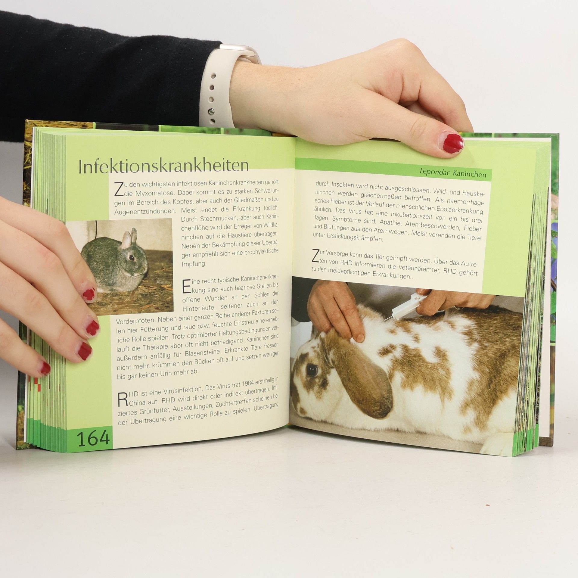 [Anonymus AC05609570] Handbuch Kleintiere