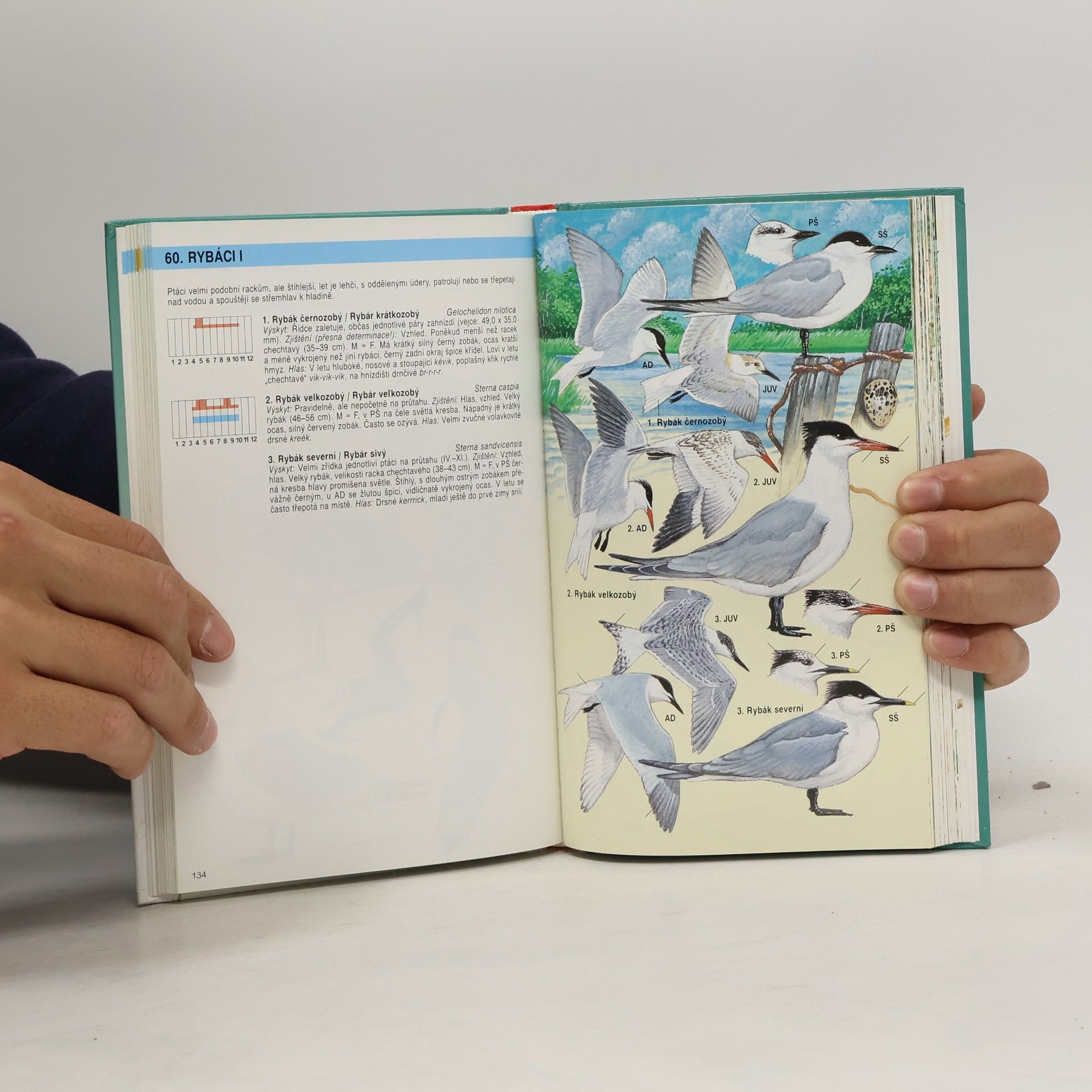 Jan Dungel Atlas ptáků České a Slovenské republiky
