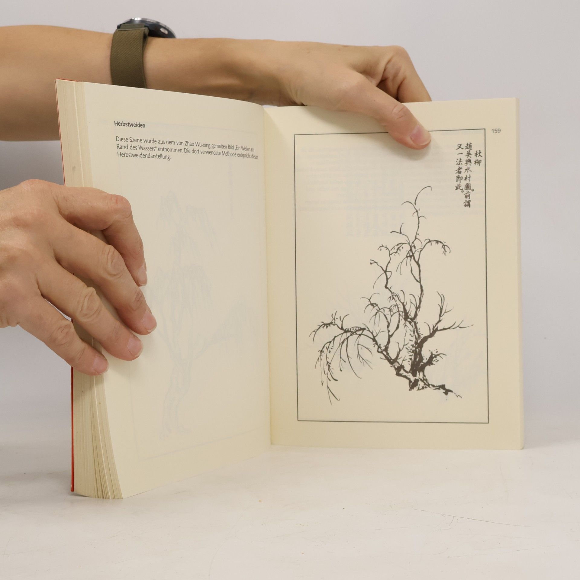 Hans Daucher Der Senfkorngarten I. Lehrbuch der chinesischen Malerei.