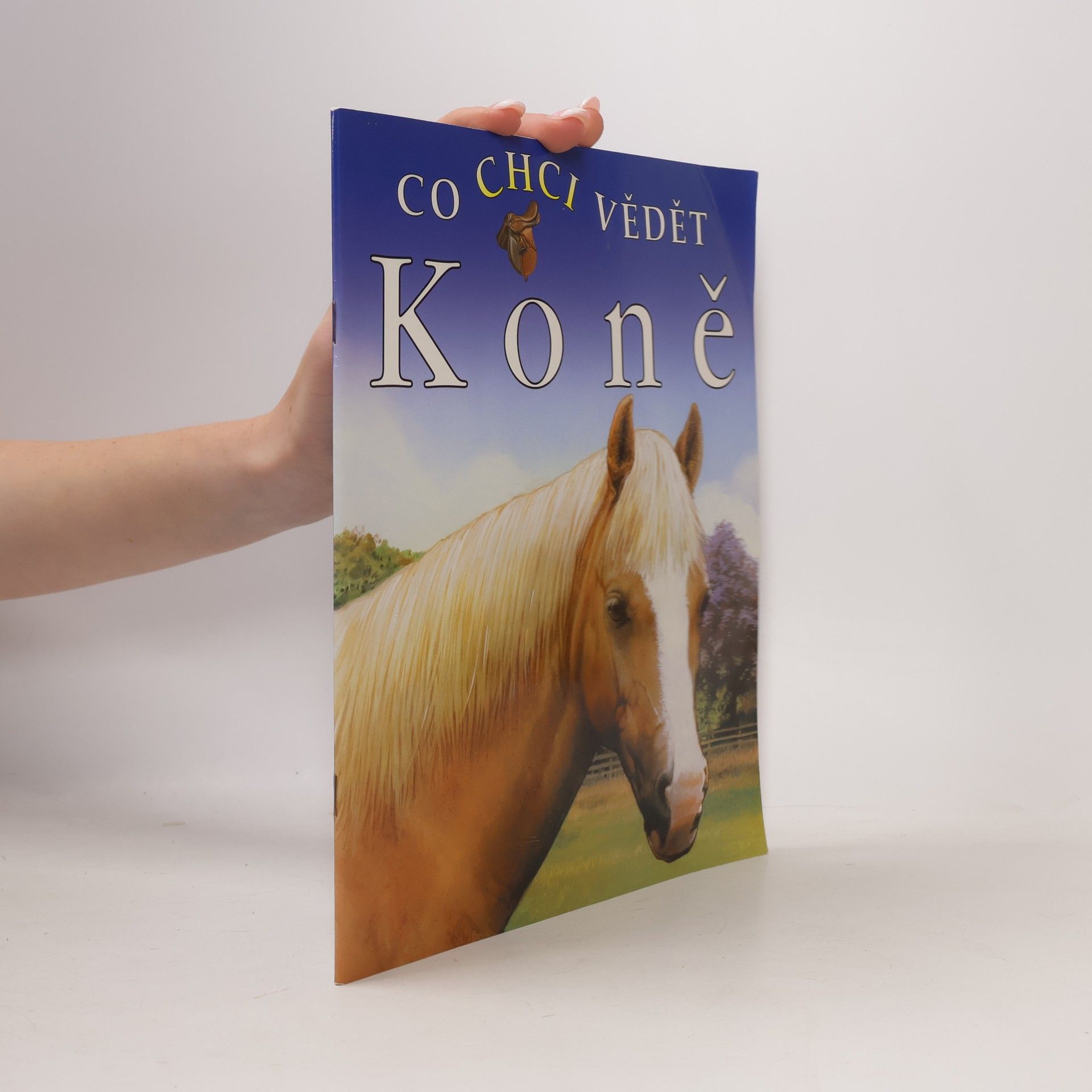Co chci vědět - Koně