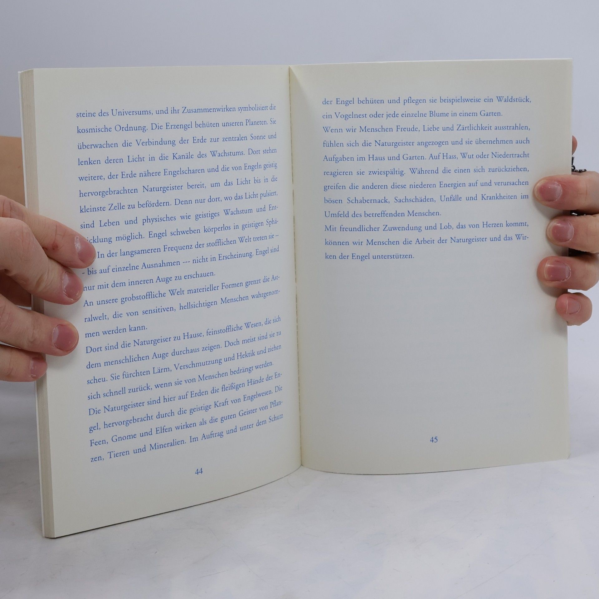 Emmanuel Ballet De Coquereaumont Ein Engelbuch zum Erinnern