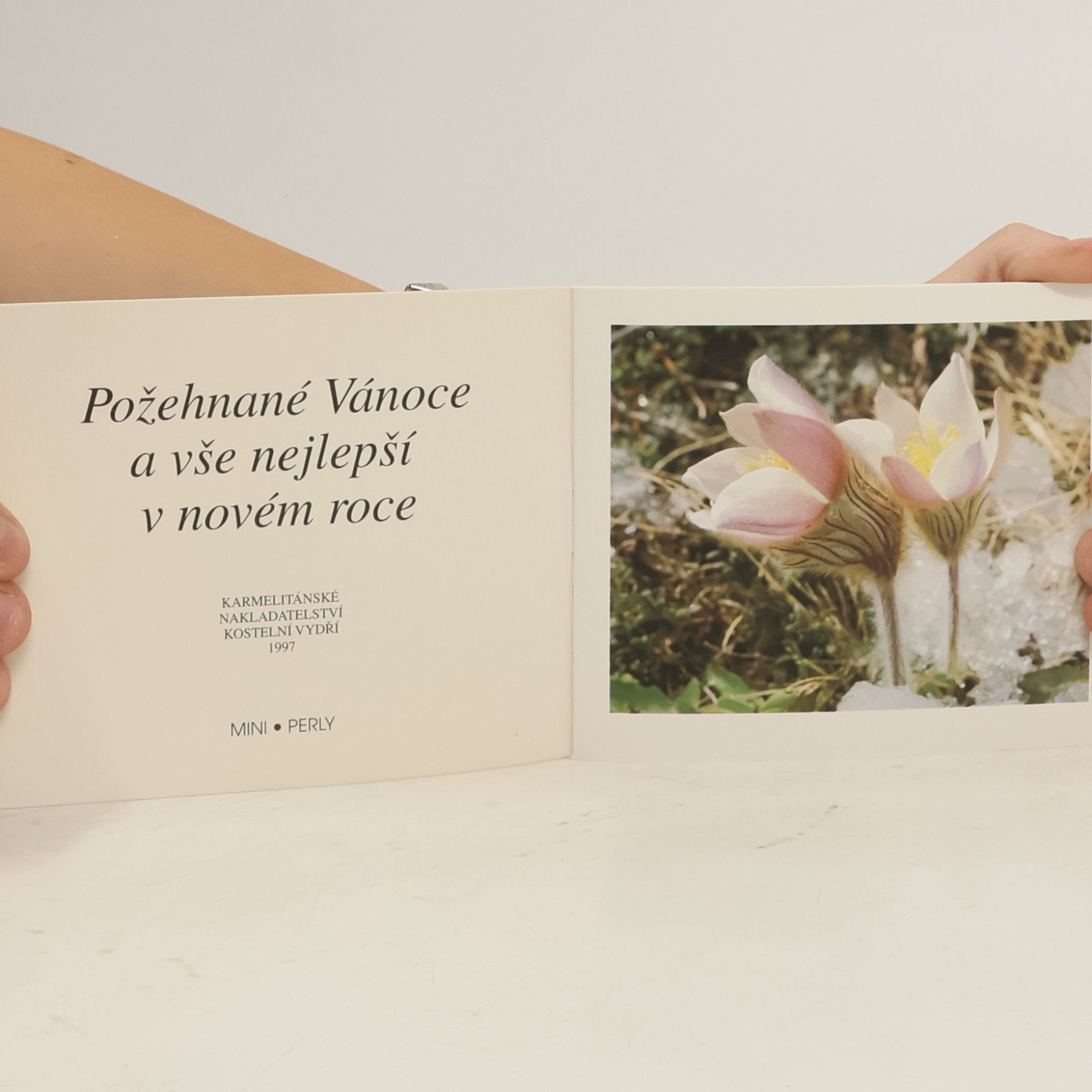 Autorenkollektiv Požehnané Vánoce a vše nejlepší v novém roce