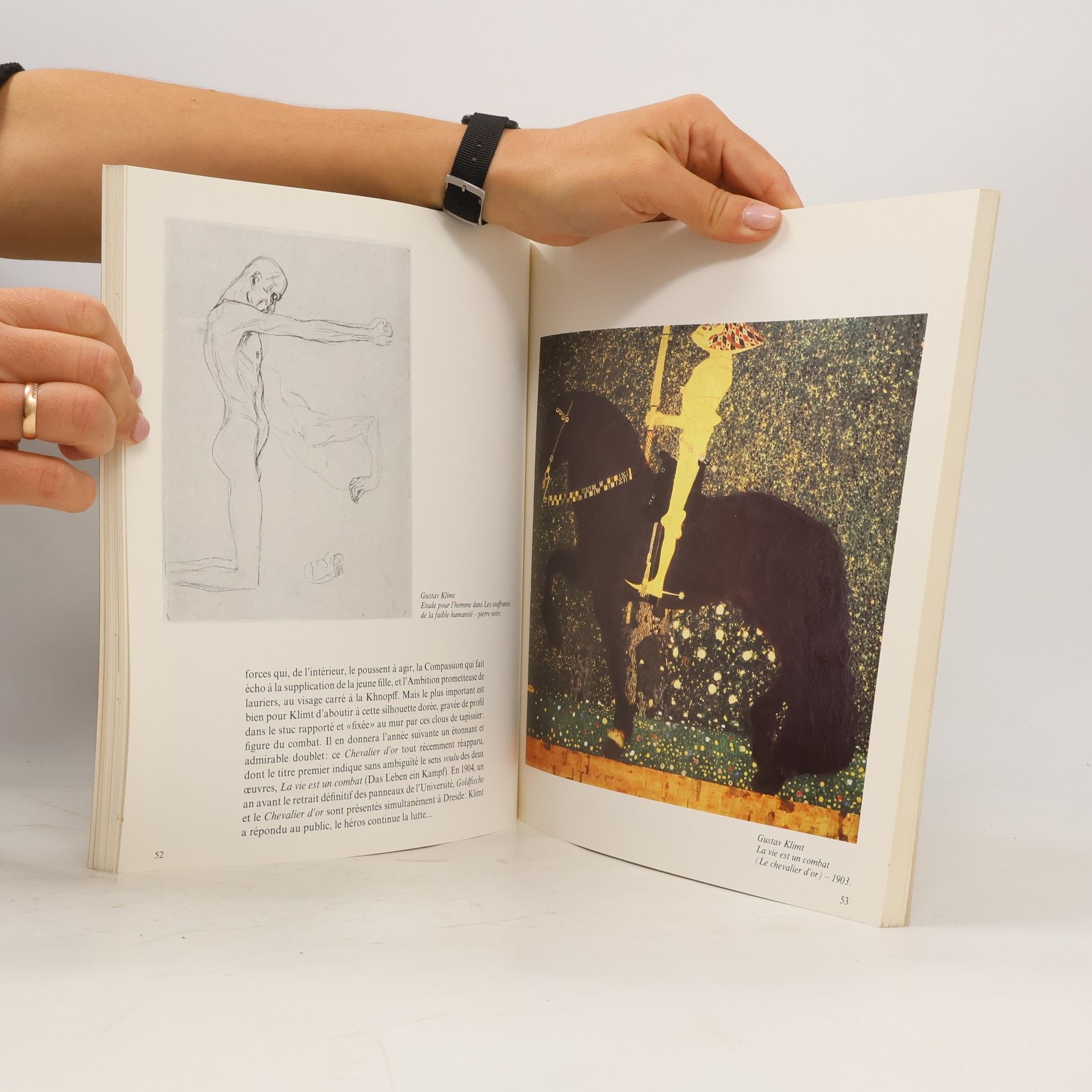Jean Paul Bouillon Skira-Flammarion: Klimt-Beethoven