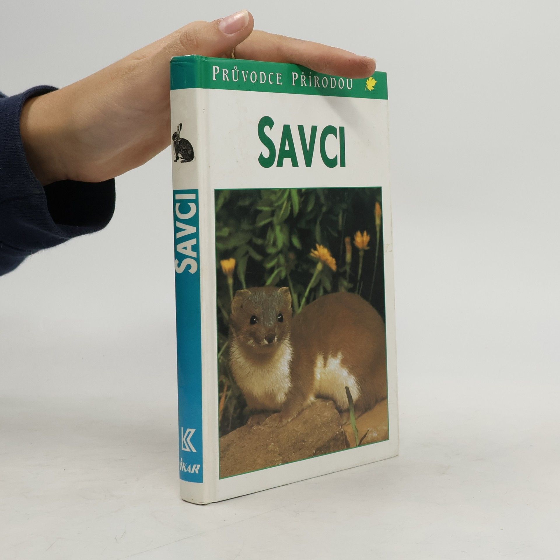 Savci