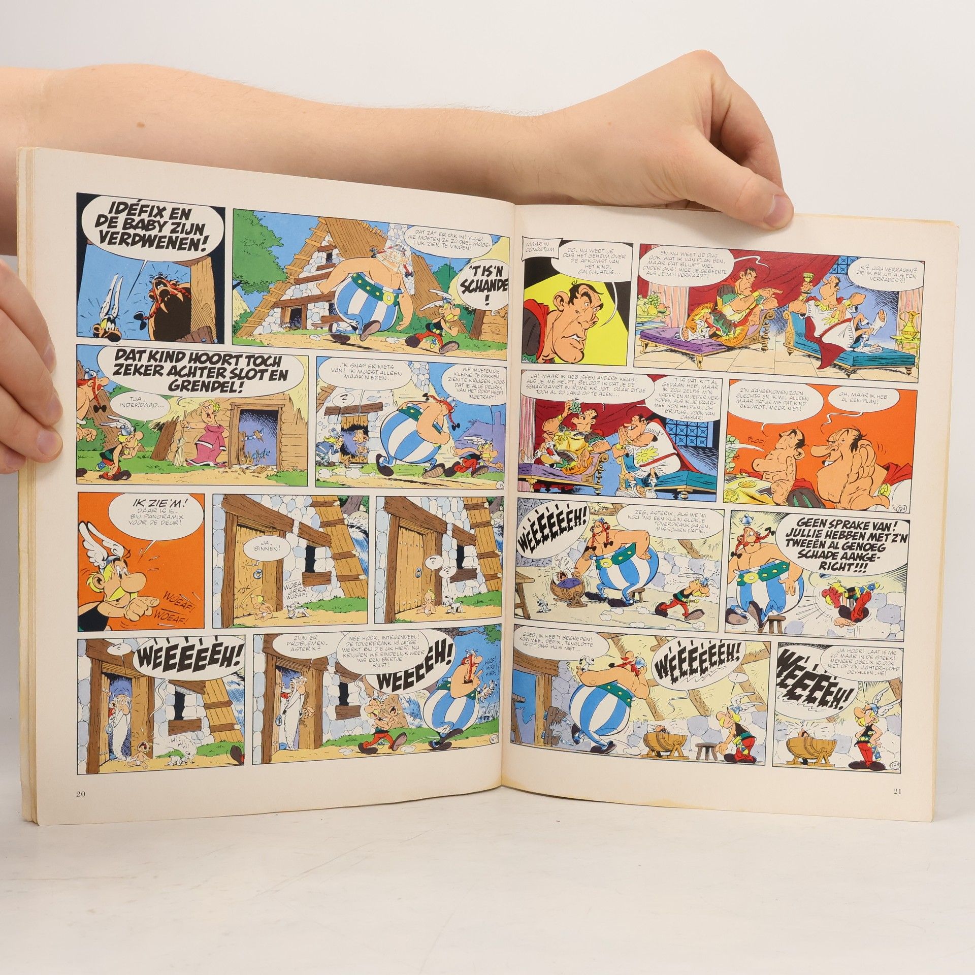Autores varios De Zoon van Asterix