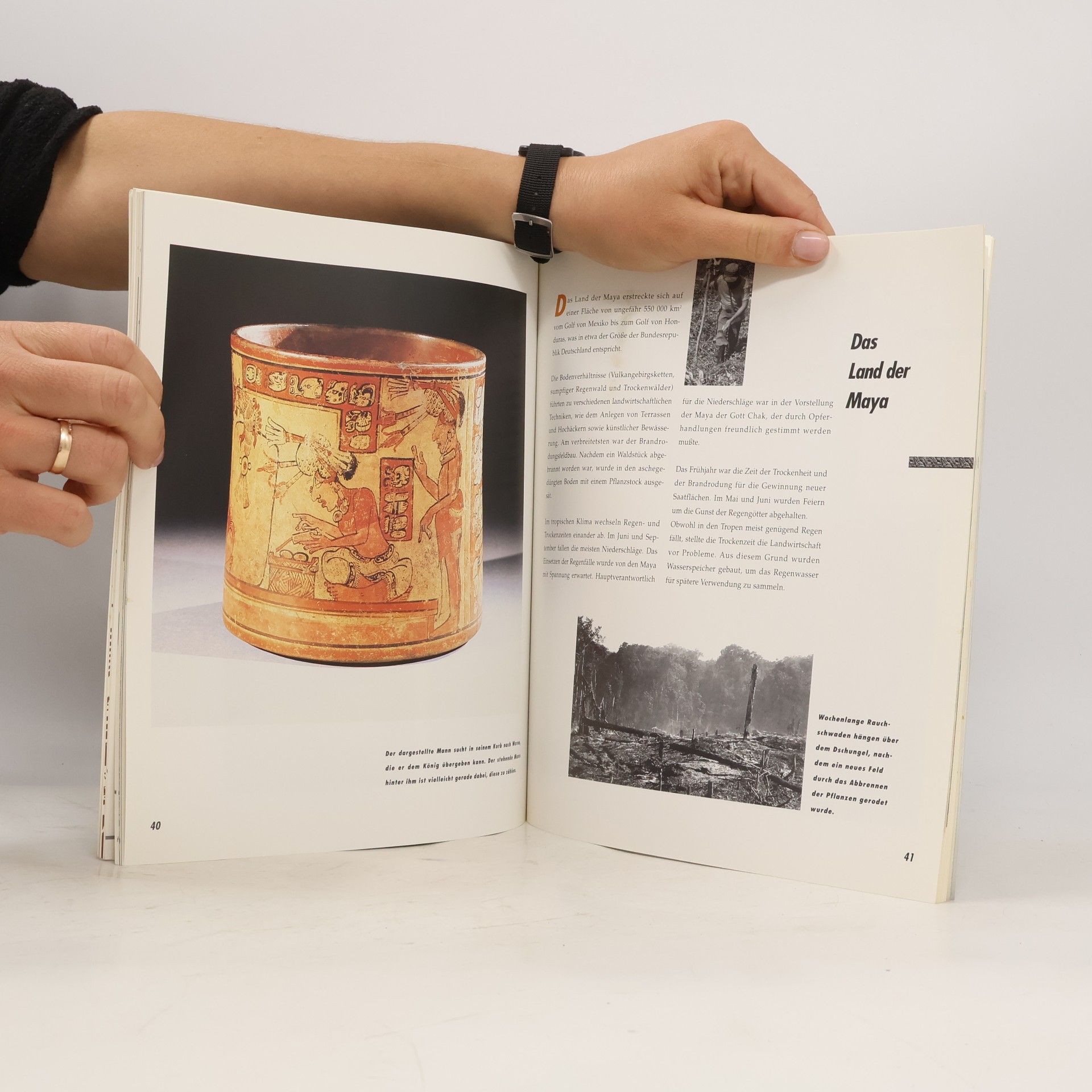 Autorenkollektiv Reise in die Welt der Maya
