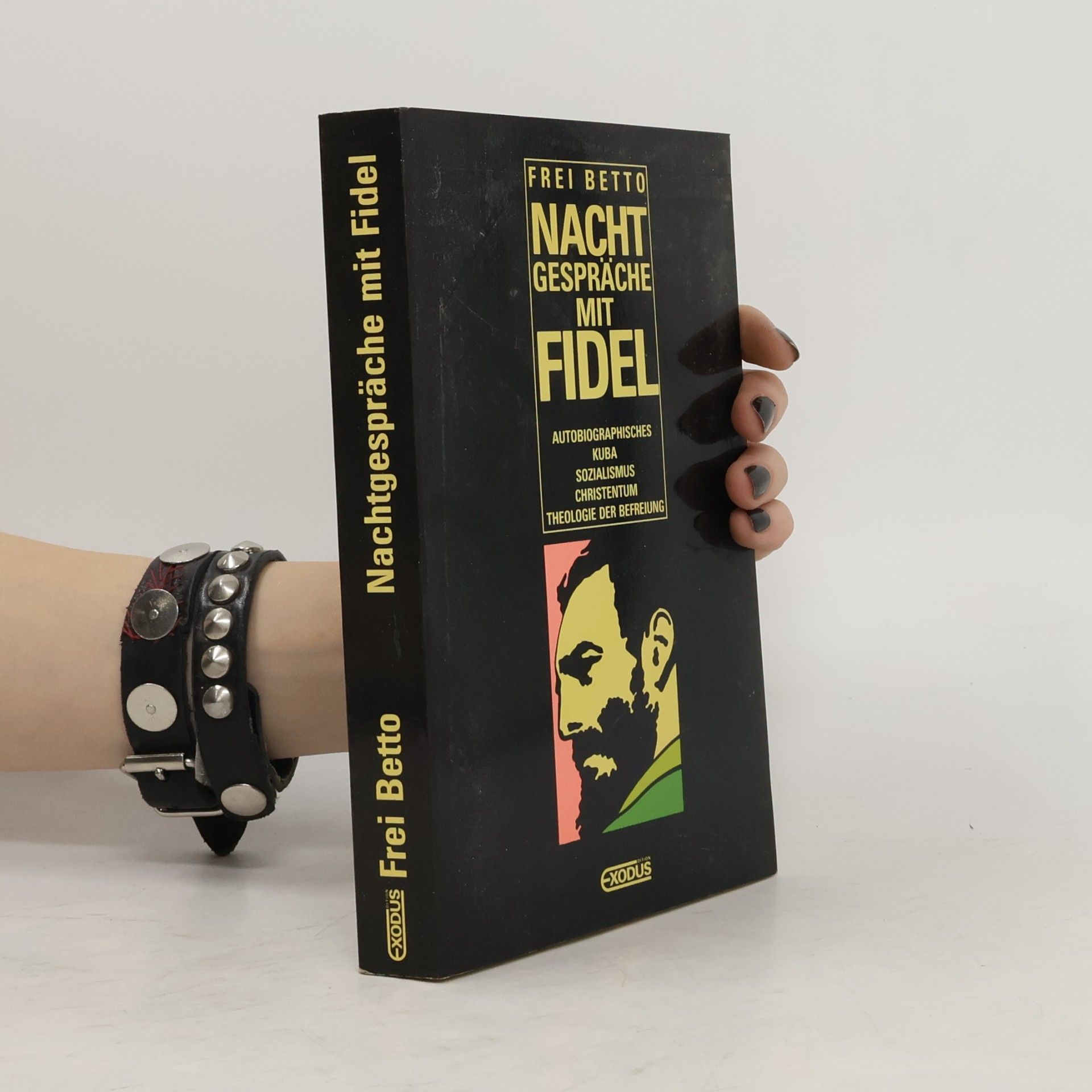 Nachtgespräche mit Fidel