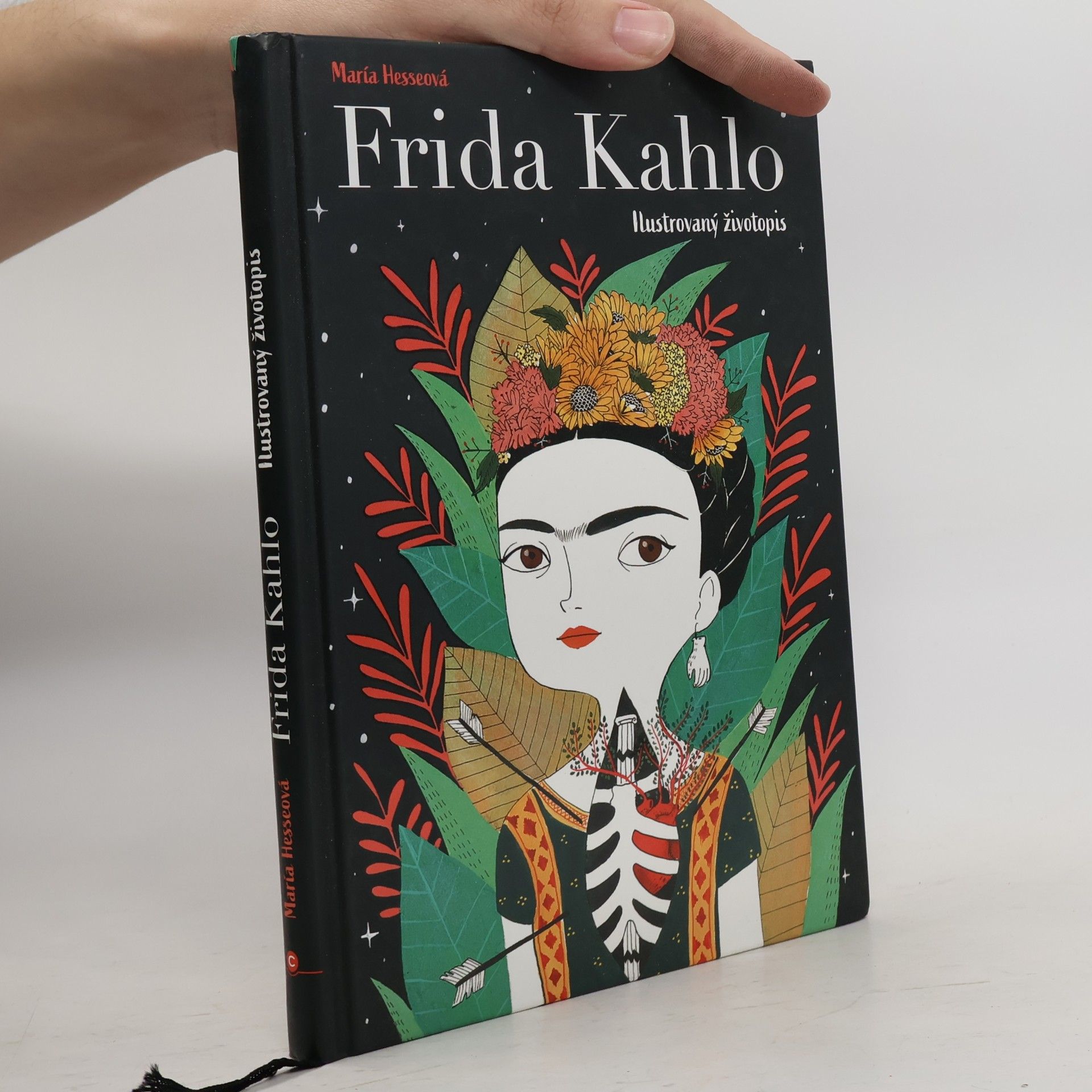 Mari a. Hesse Frida Kahlo: Ilustrovaný životopis
