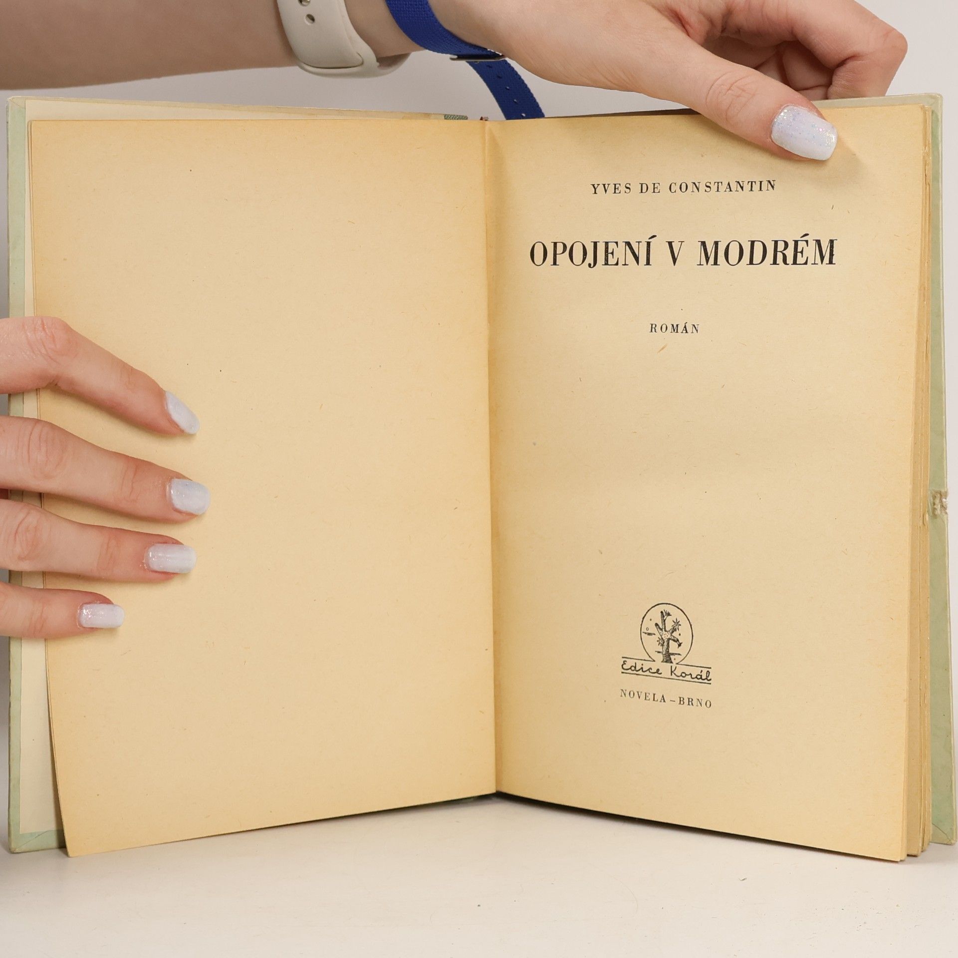 Yves de Constantin Opojení v modrém