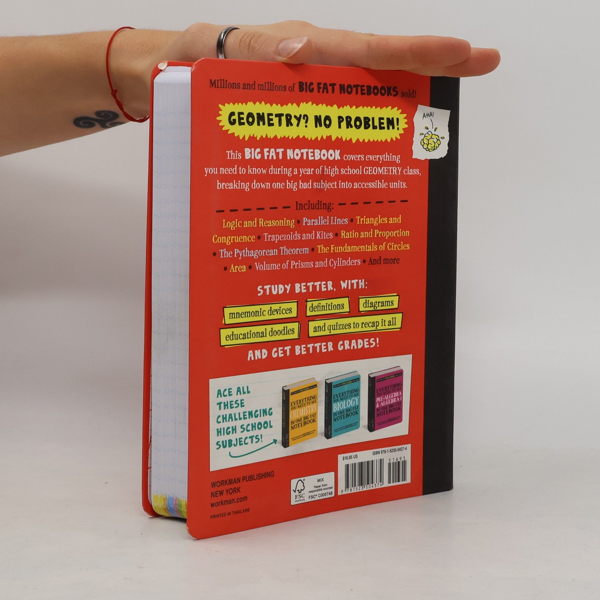 Christy Needham Everything You Need to Ace Geometry in One Big Fat Notebook