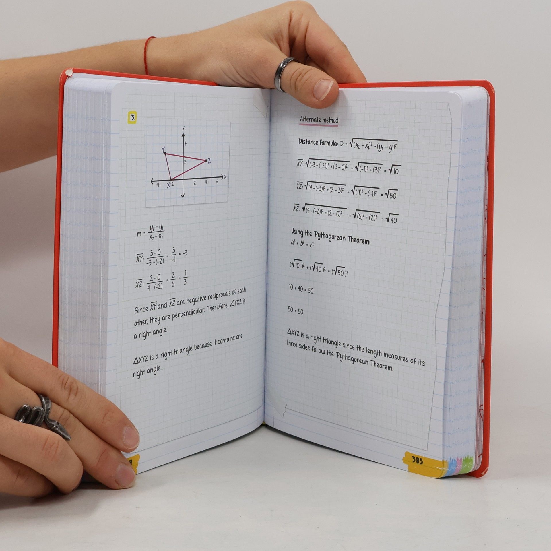 Christy Needham Everything You Need to Ace Geometry in One Big Fat Notebook