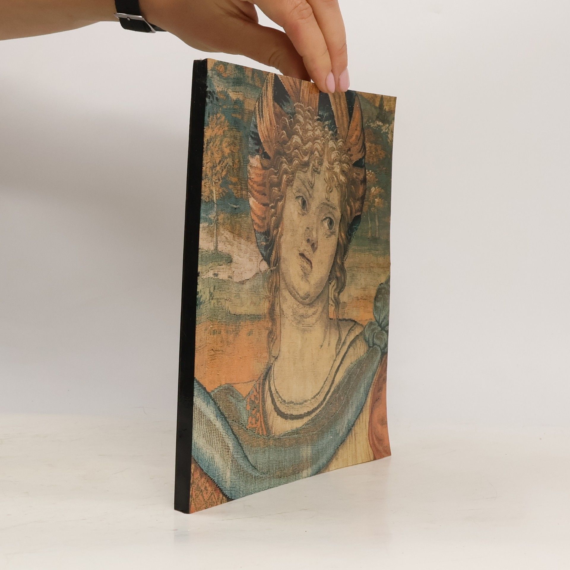 Tapisserien der Renaissance nach Entwürfen von Pieter Coecke van Aelst