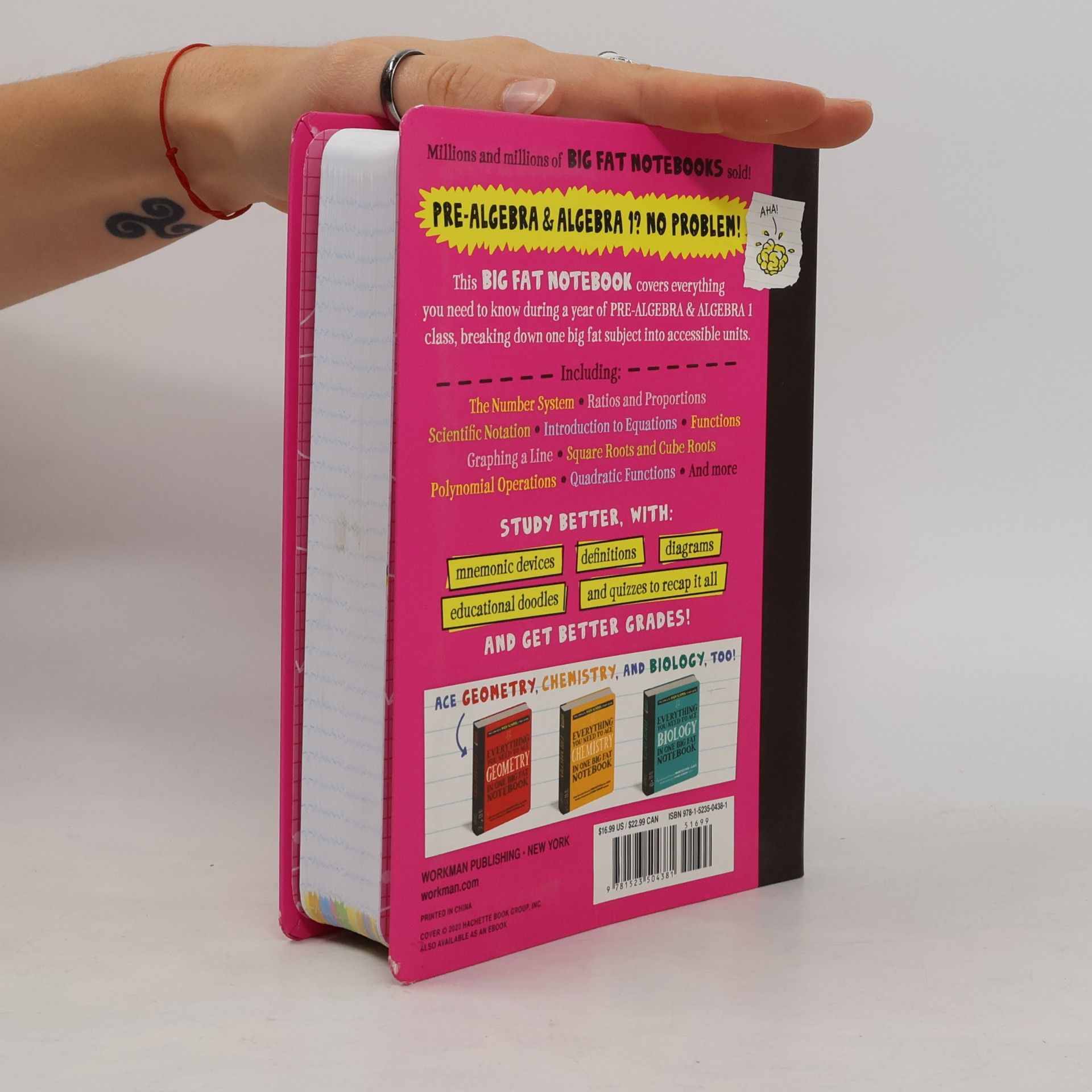Workman Publishing Everything You Need to Ace Pre-Algebra and Algebra I in One Big Fat Notebook