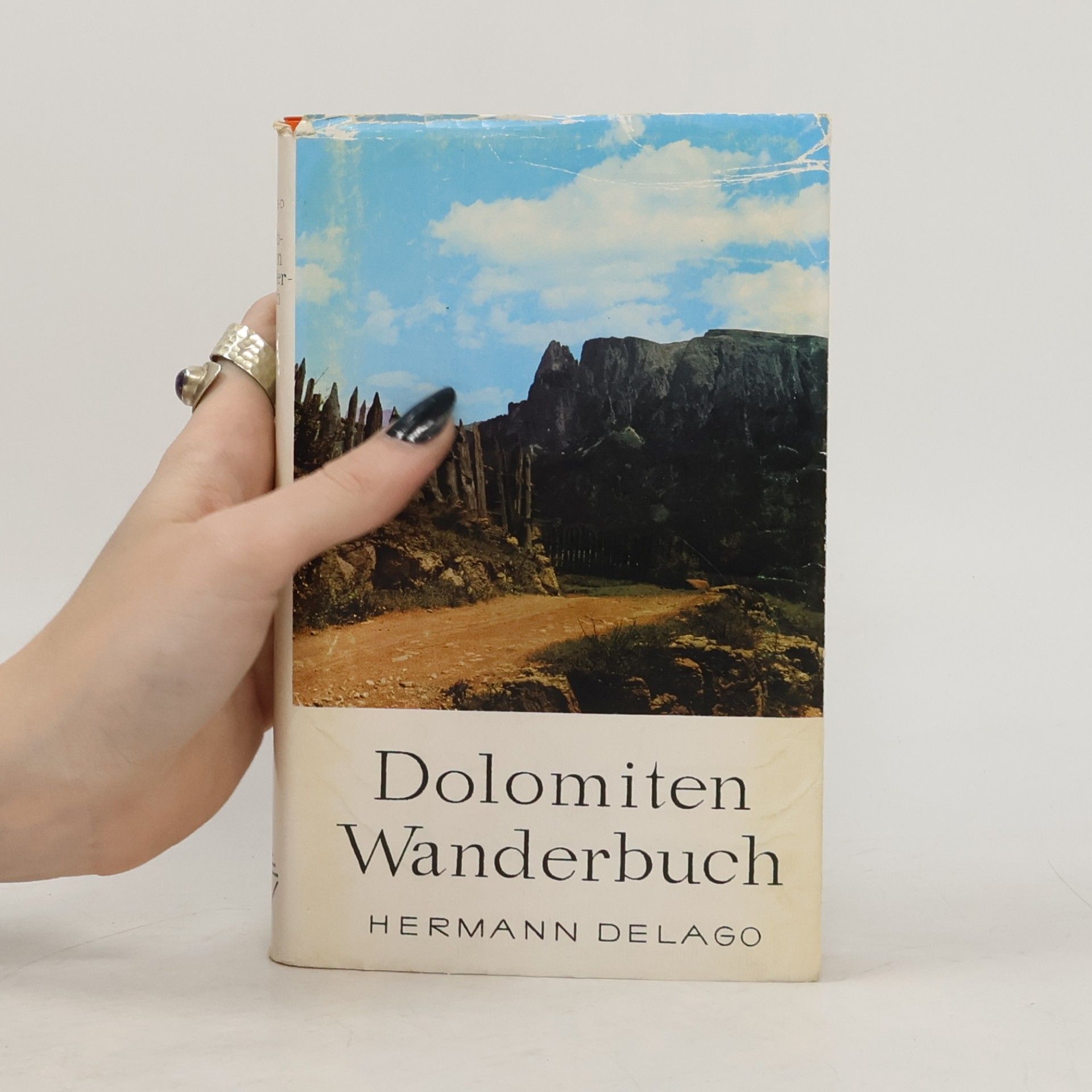 Hermann Delago Dolomiten Wanderbuch