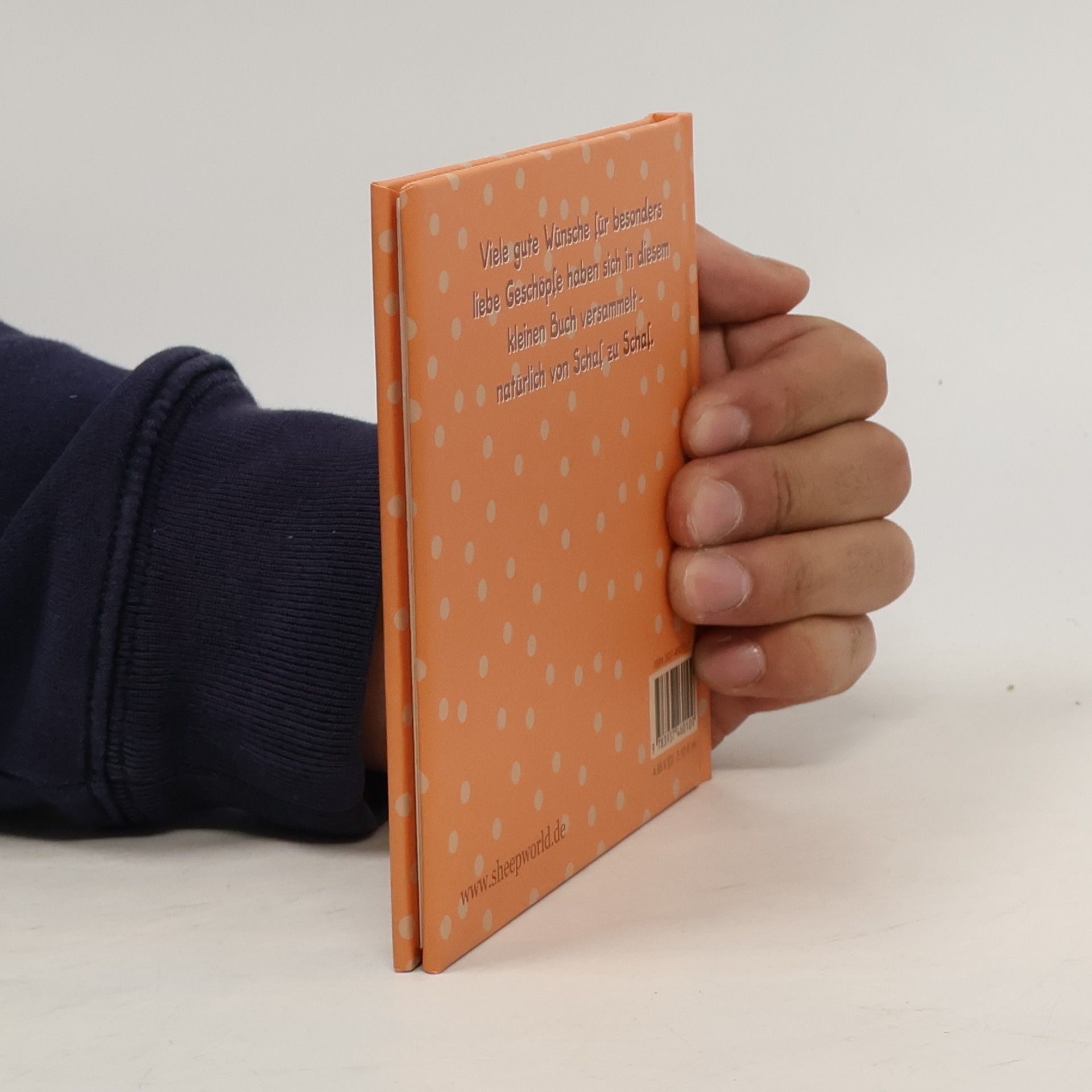 Autores varios Viele Wünsche für ein tolles Leben