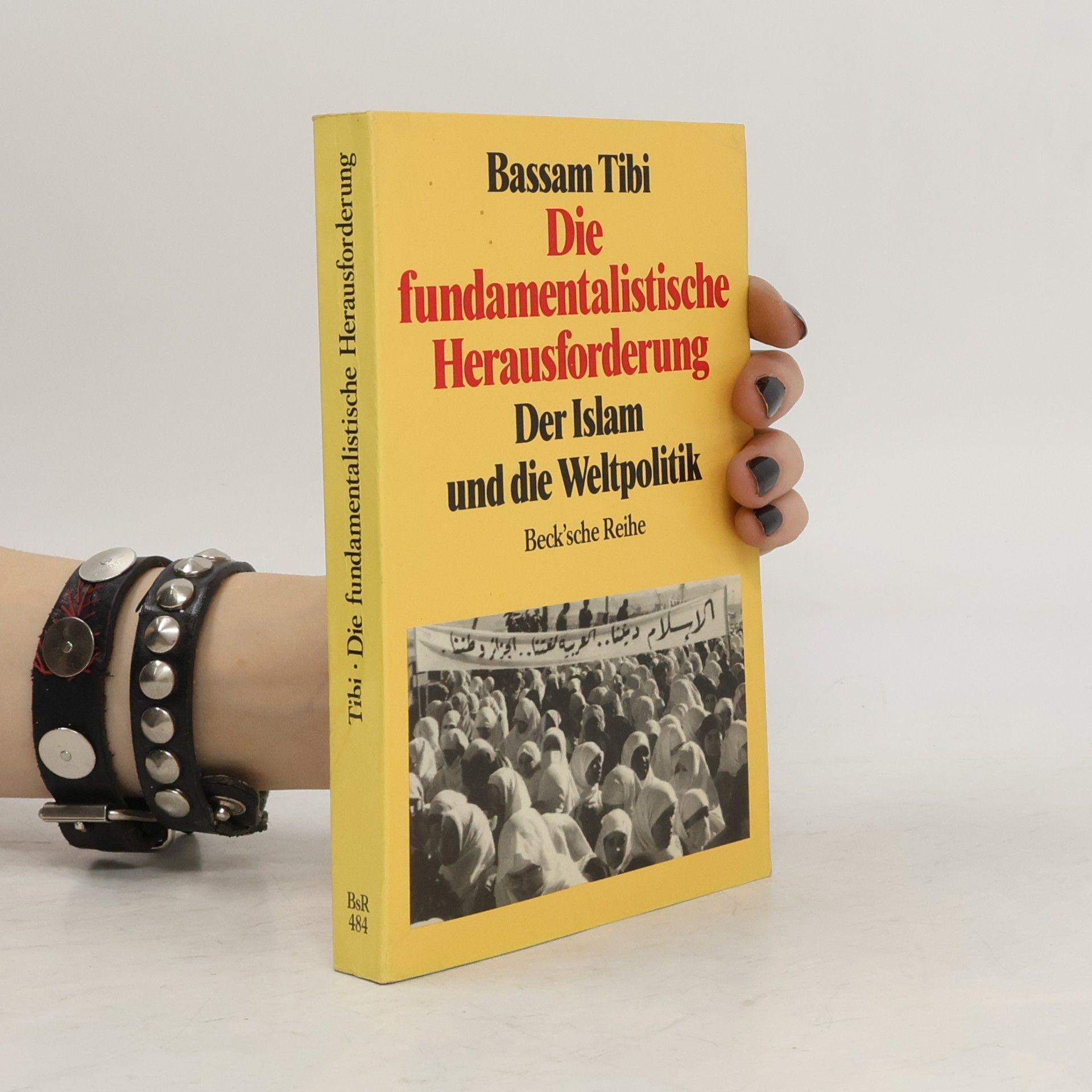 Bassam Tibi Die fundamentalistische Herausforderung