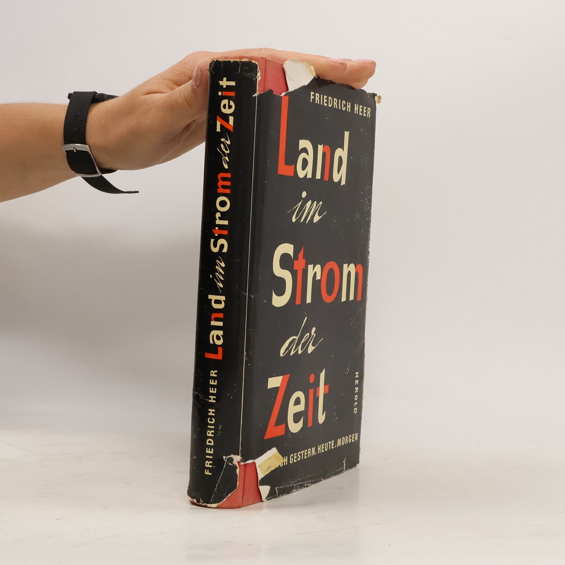 Land im Strom der Zeit