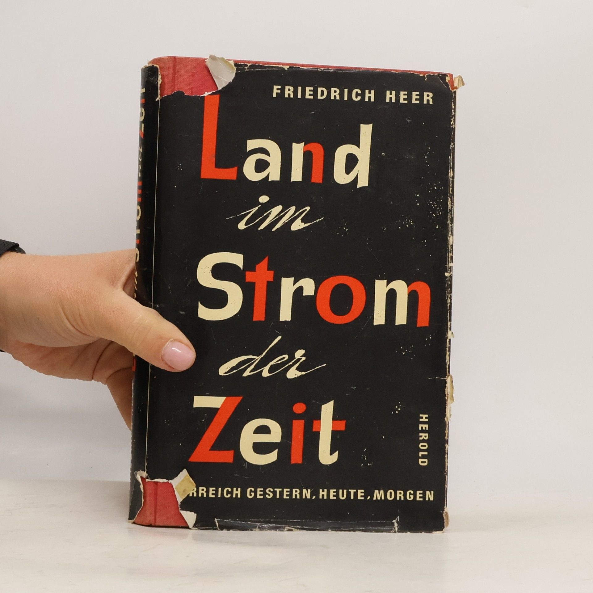 Friedrich Heer Land im Strom der Zeit