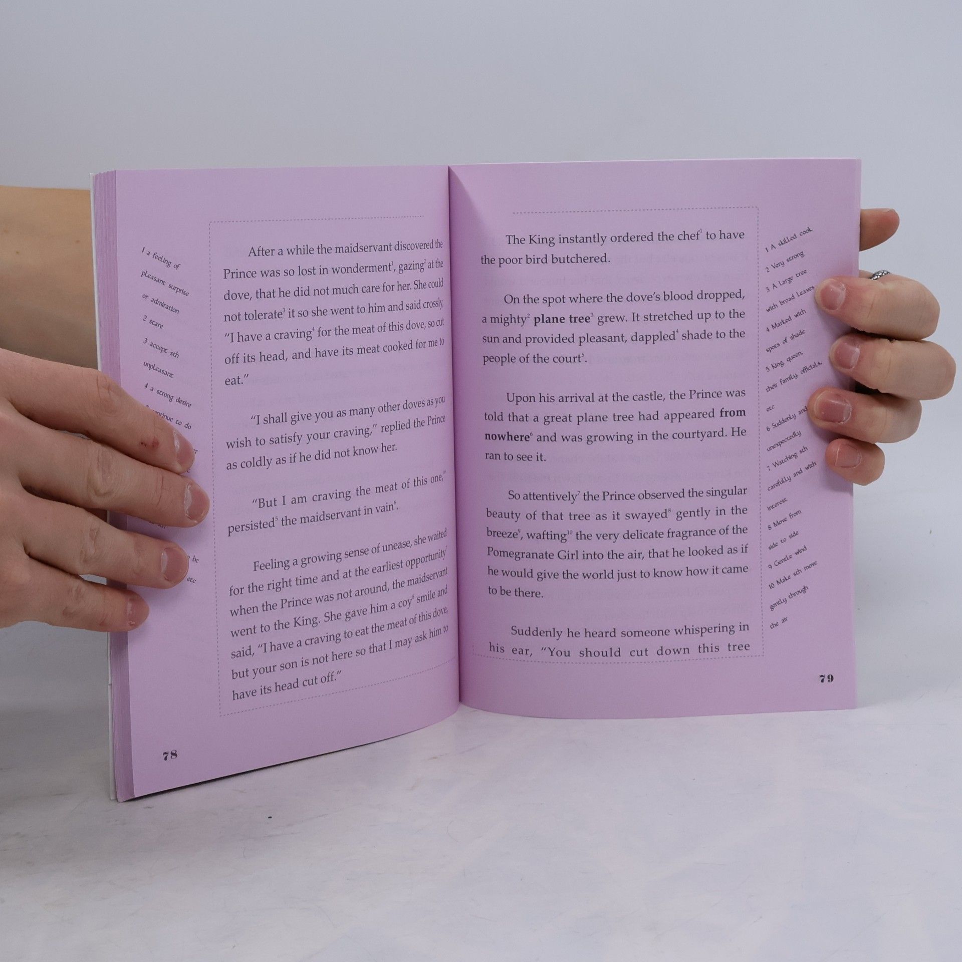 Sajedeh Asna'ashari The Pomegranate Girls and Other Tales