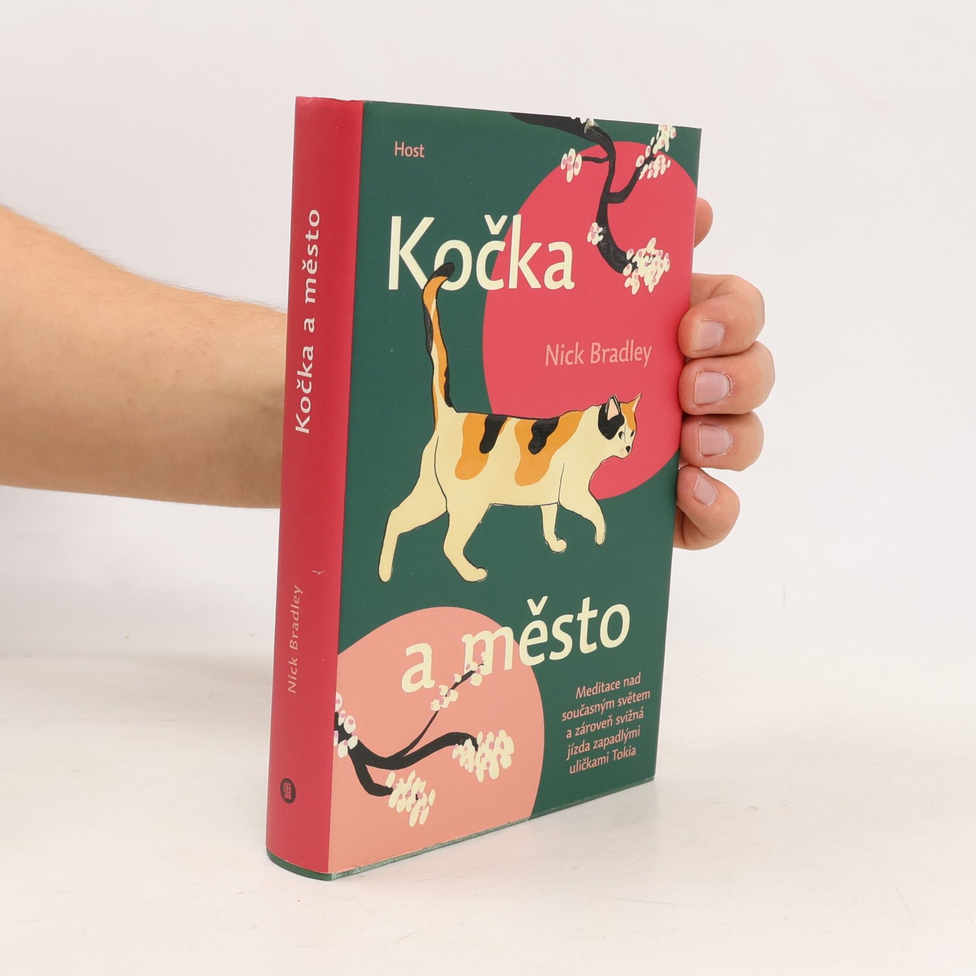 Nick Bradley Kočka a město