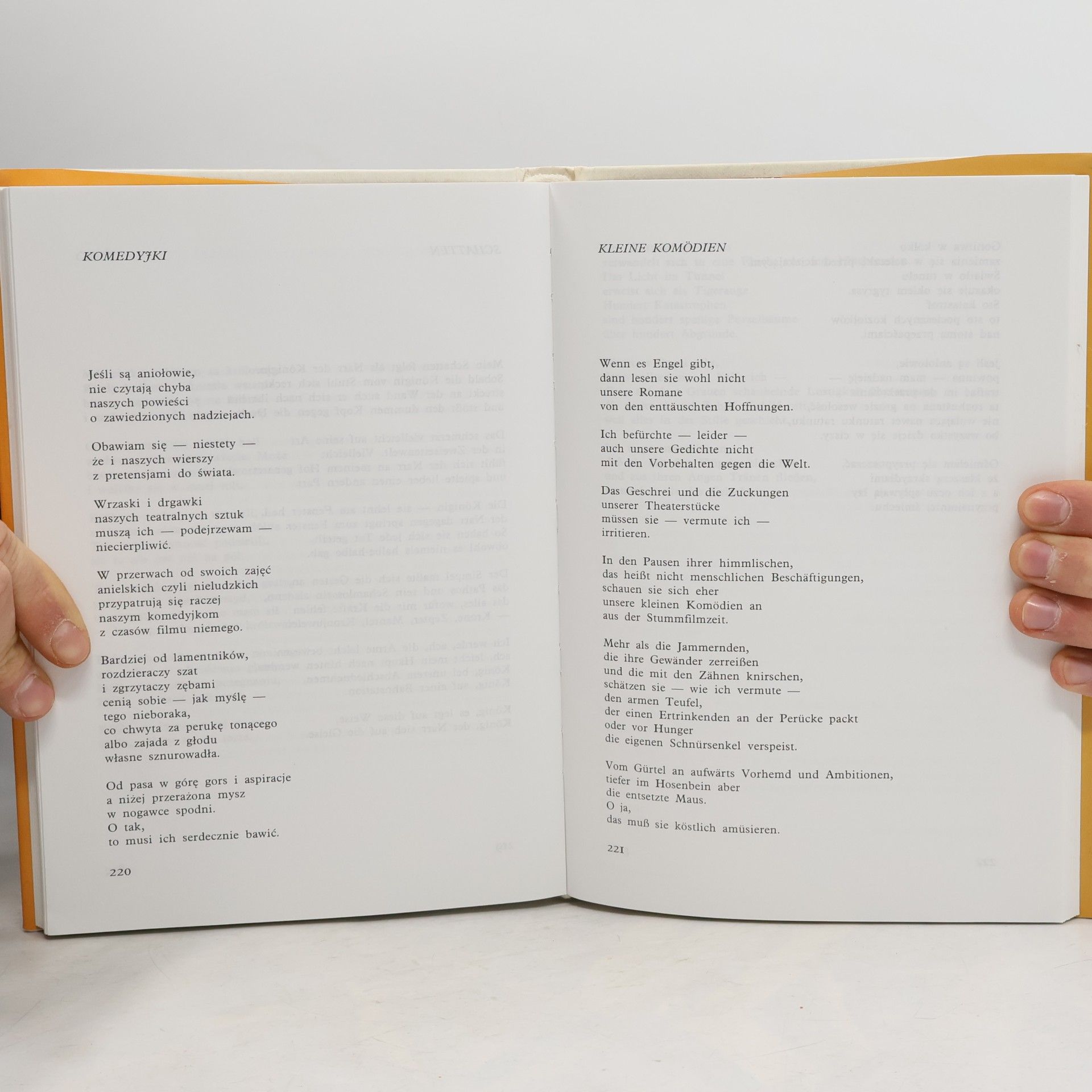 Wisława Szymborska Hundert Gedichte, Hundert Freuden